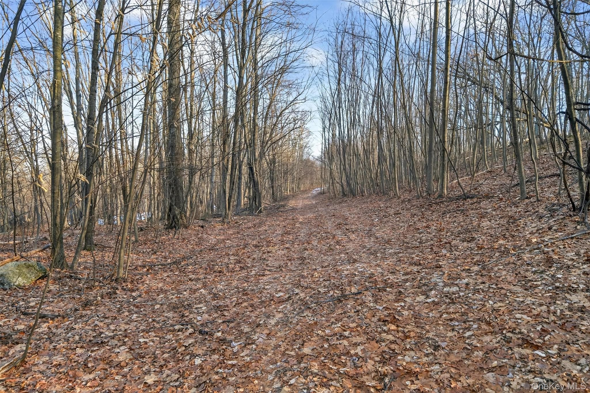 TBD Eatontown Road thumbnail 15