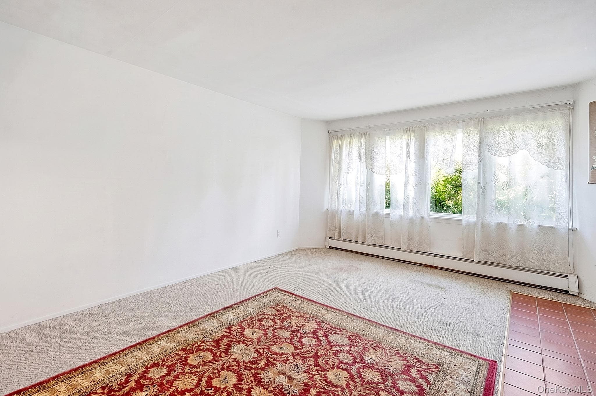 893 Gardiner Drive thumbnail 18