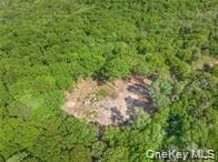 Lot 5 A S White Rock Road thumbnail 17