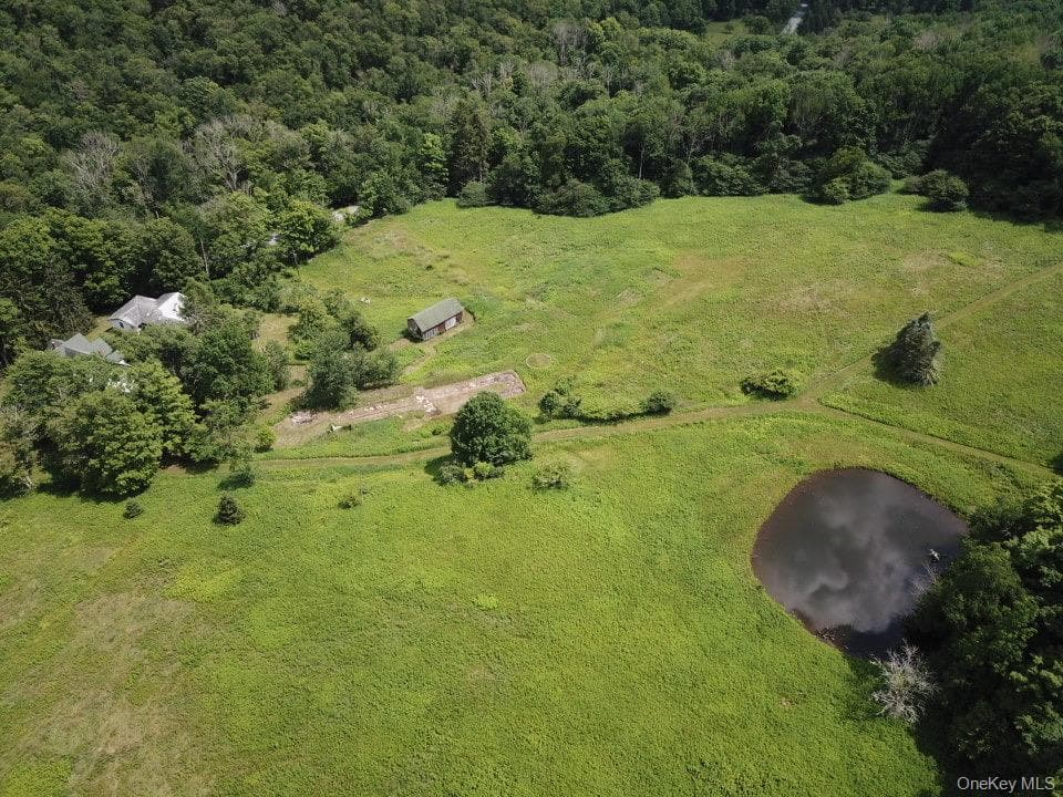109 Mary Smith Hill Road thumbnail 6