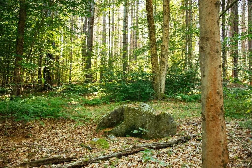 Lot 1 Woodstone Trail thumbnail 2