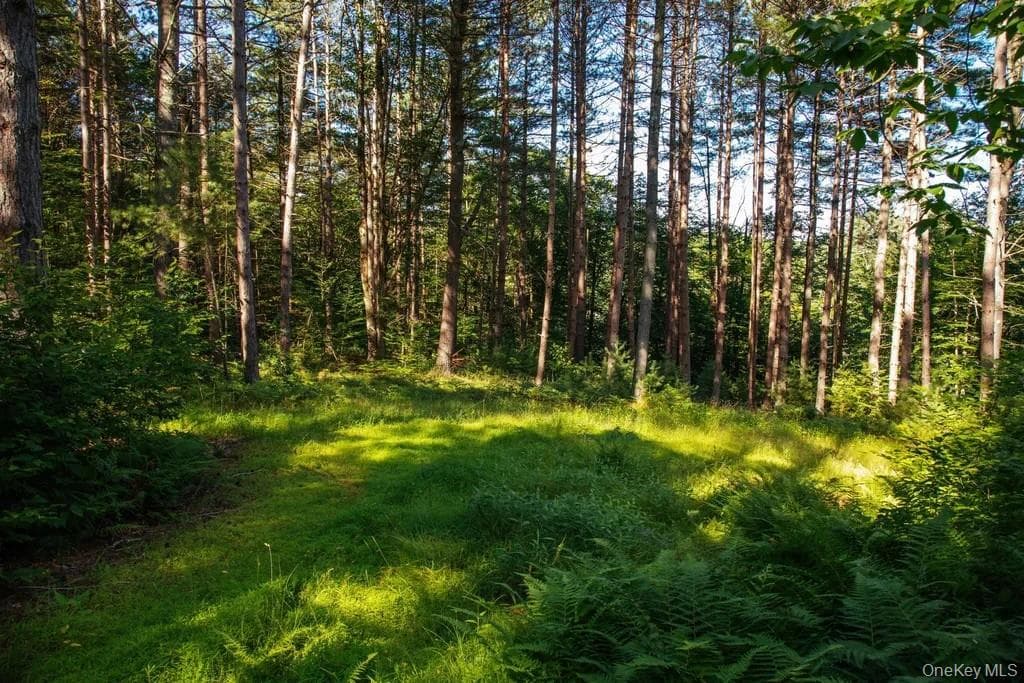 Lot 1 Woodstone Trail thumbnail 3