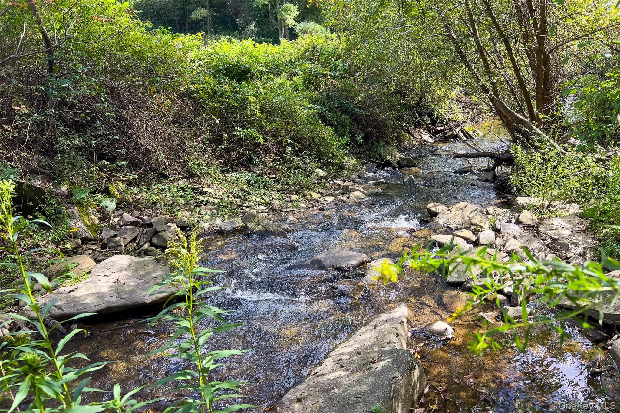 1685 Dry Brook Road thumbnail 47
