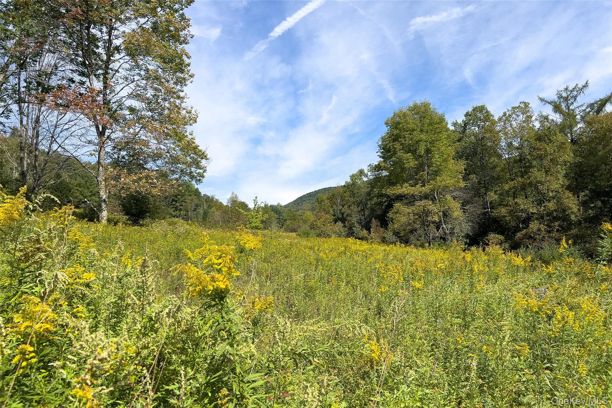 1685 Dry Brook Road thumbnail 49