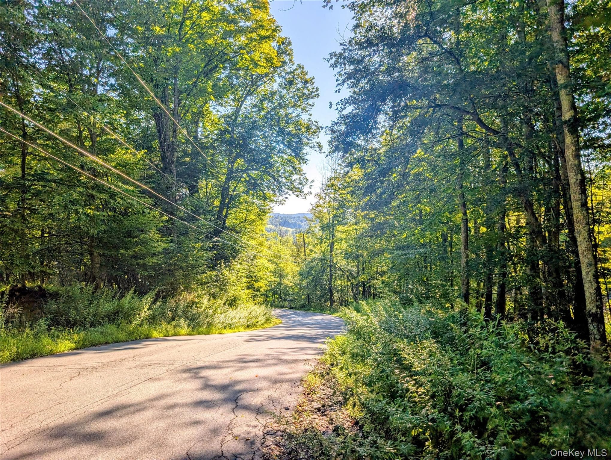 Hurd Road thumbnail 21