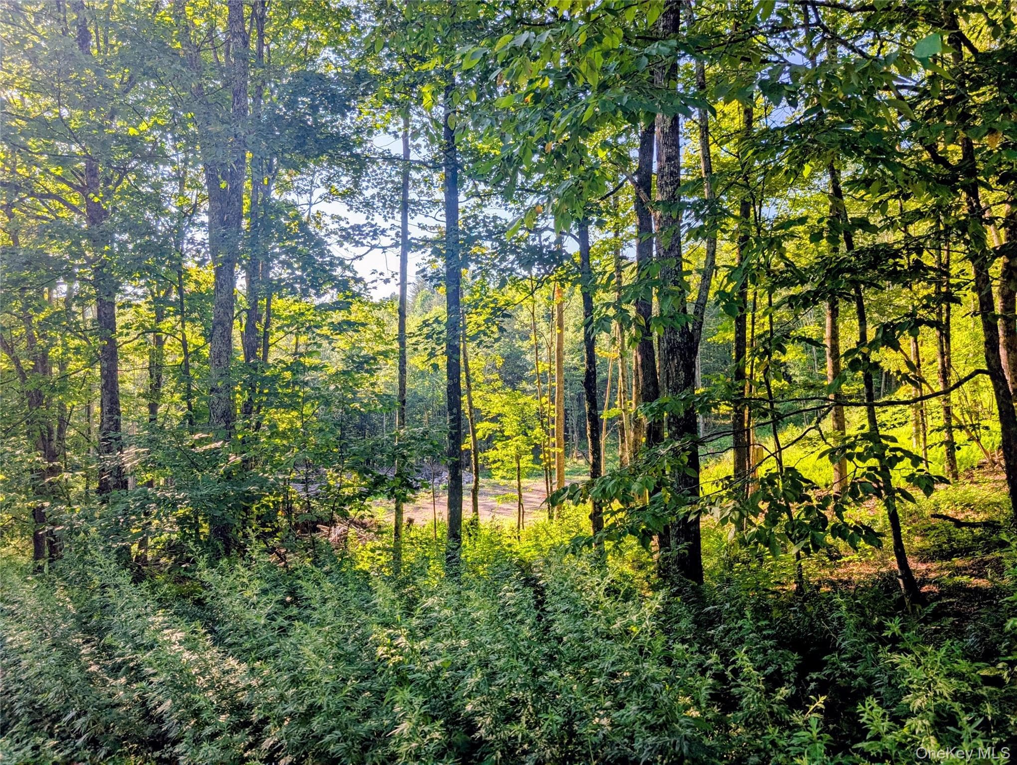 Hurd Road thumbnail 23