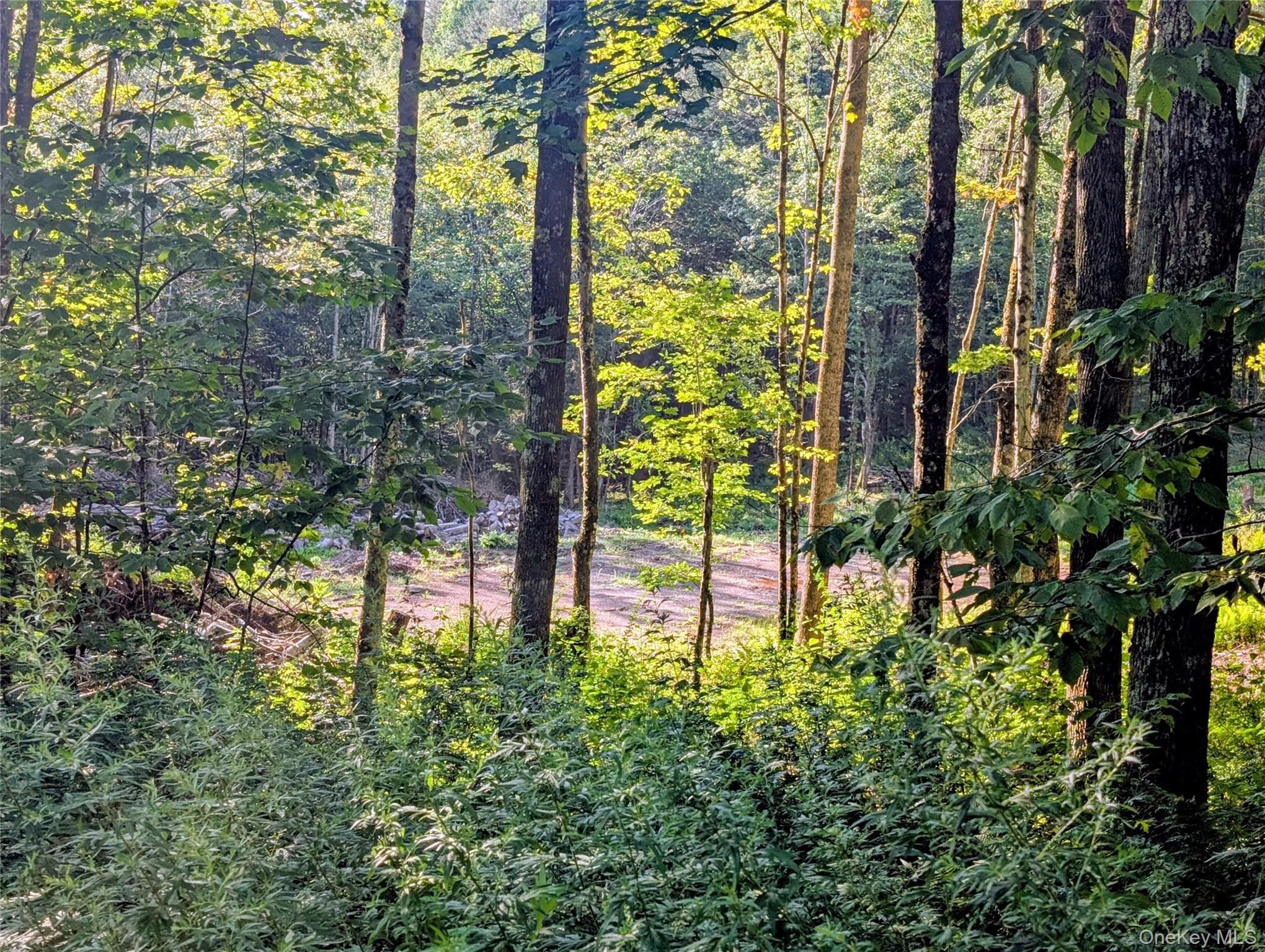 Hurd Road thumbnail 22