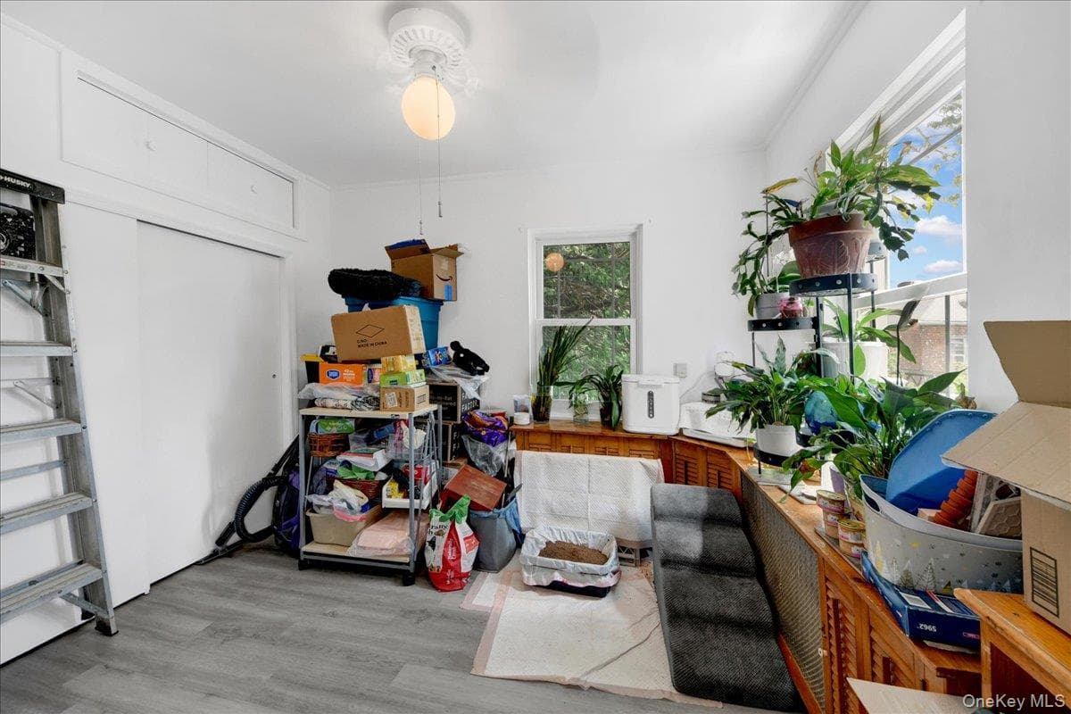 2544 Lurting Avenue thumbnail 8