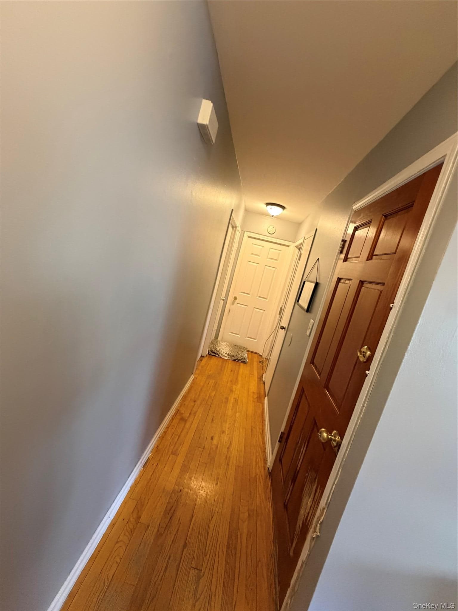 1849 White Plains Road thumbnail 13