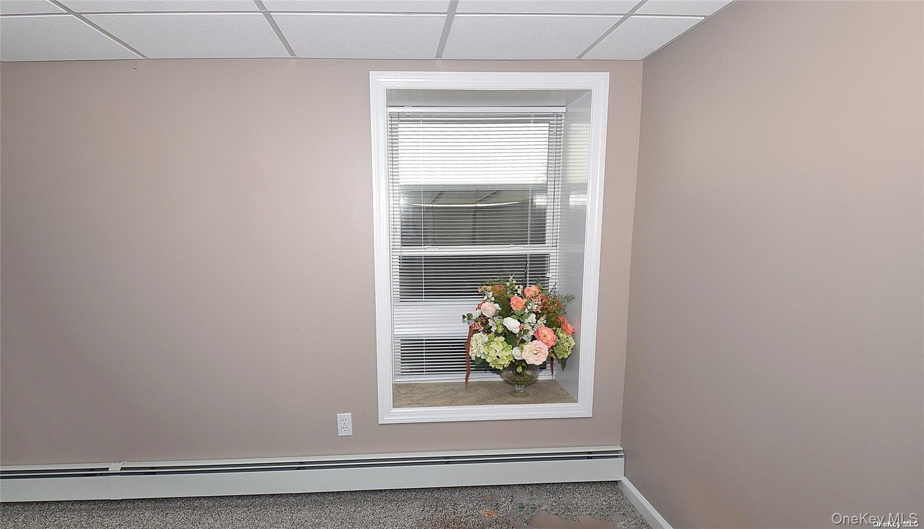 203 Chelsea Avenue thumbnail 17