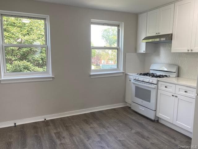245-15 77th Crescent Unit: F-2 thumbnail 4