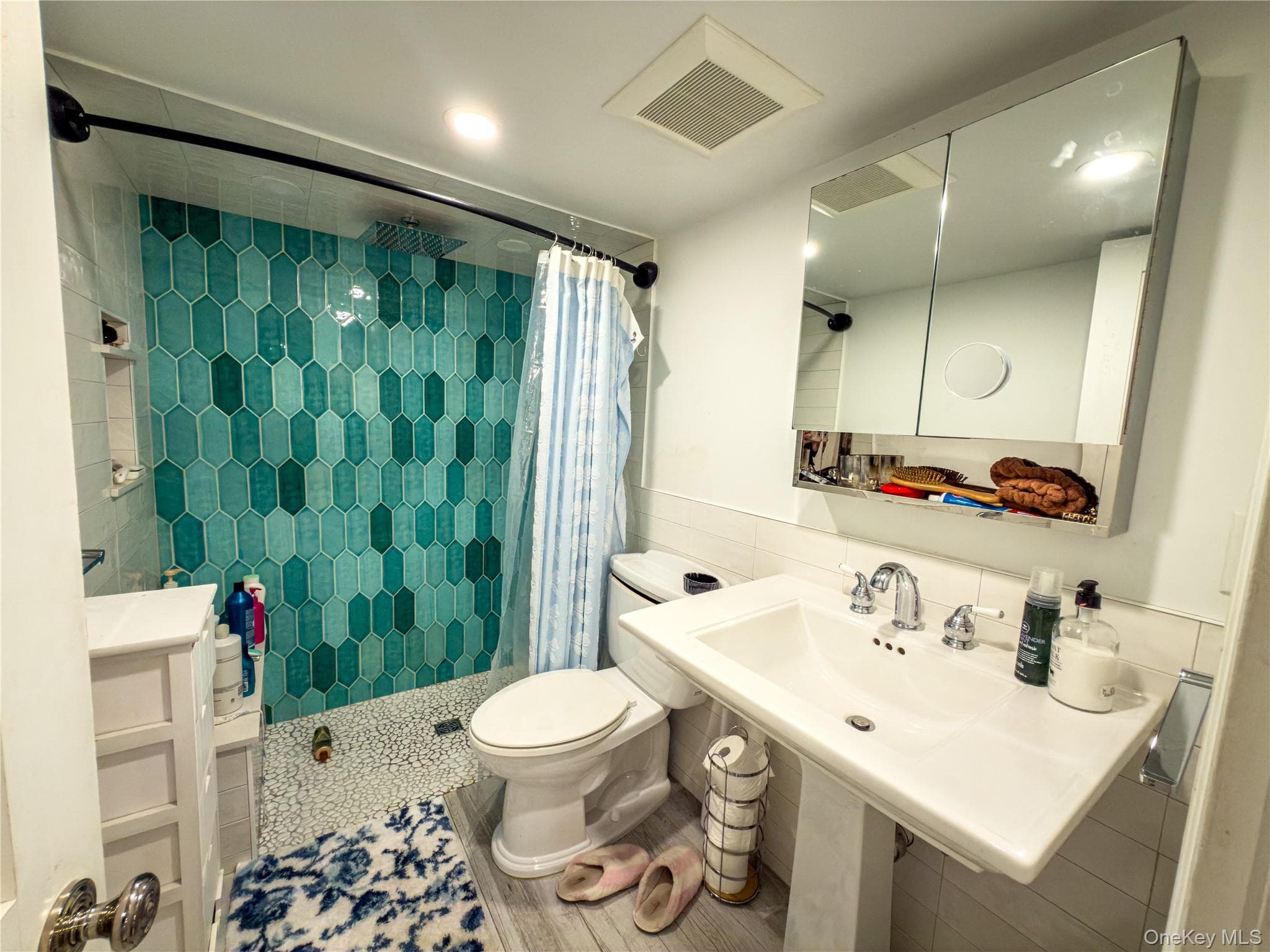 723 W Olive Street thumbnail 13