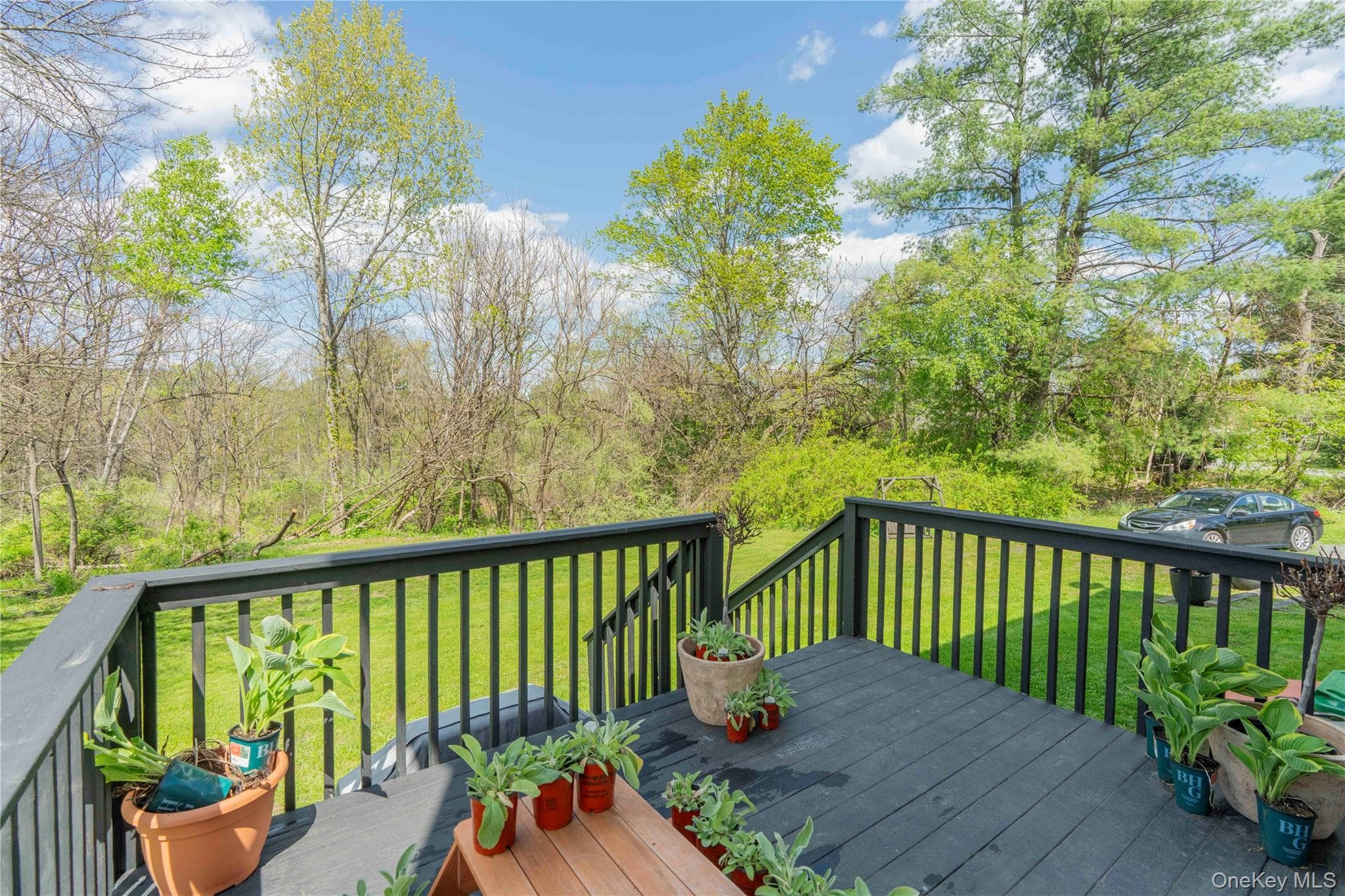 3 Rose Drive thumbnail 23
