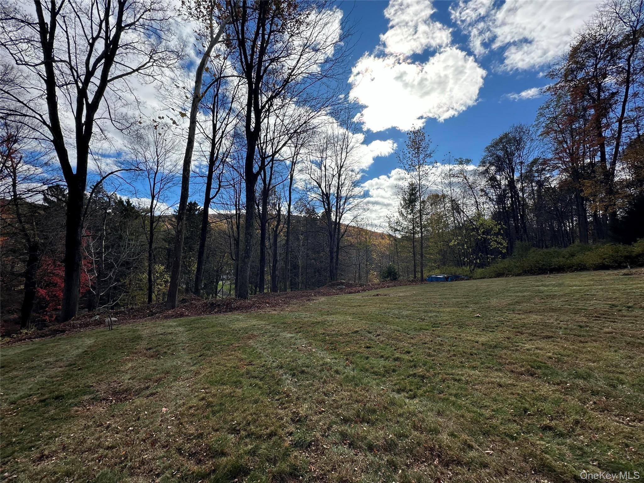 227 E Hook Road thumbnail 10