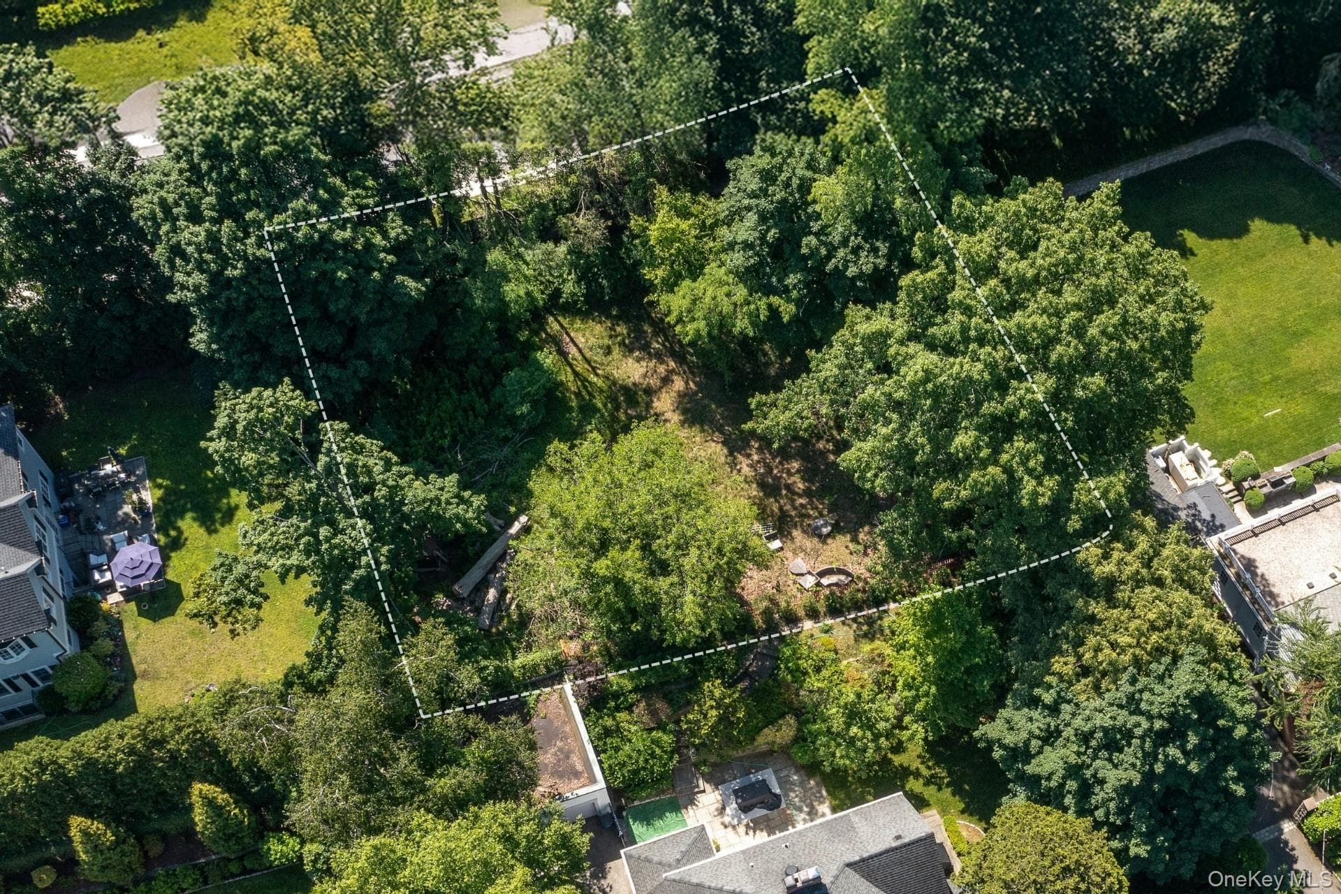 98 Park Aka - Midland Avenue Avenue thumbnail 2
