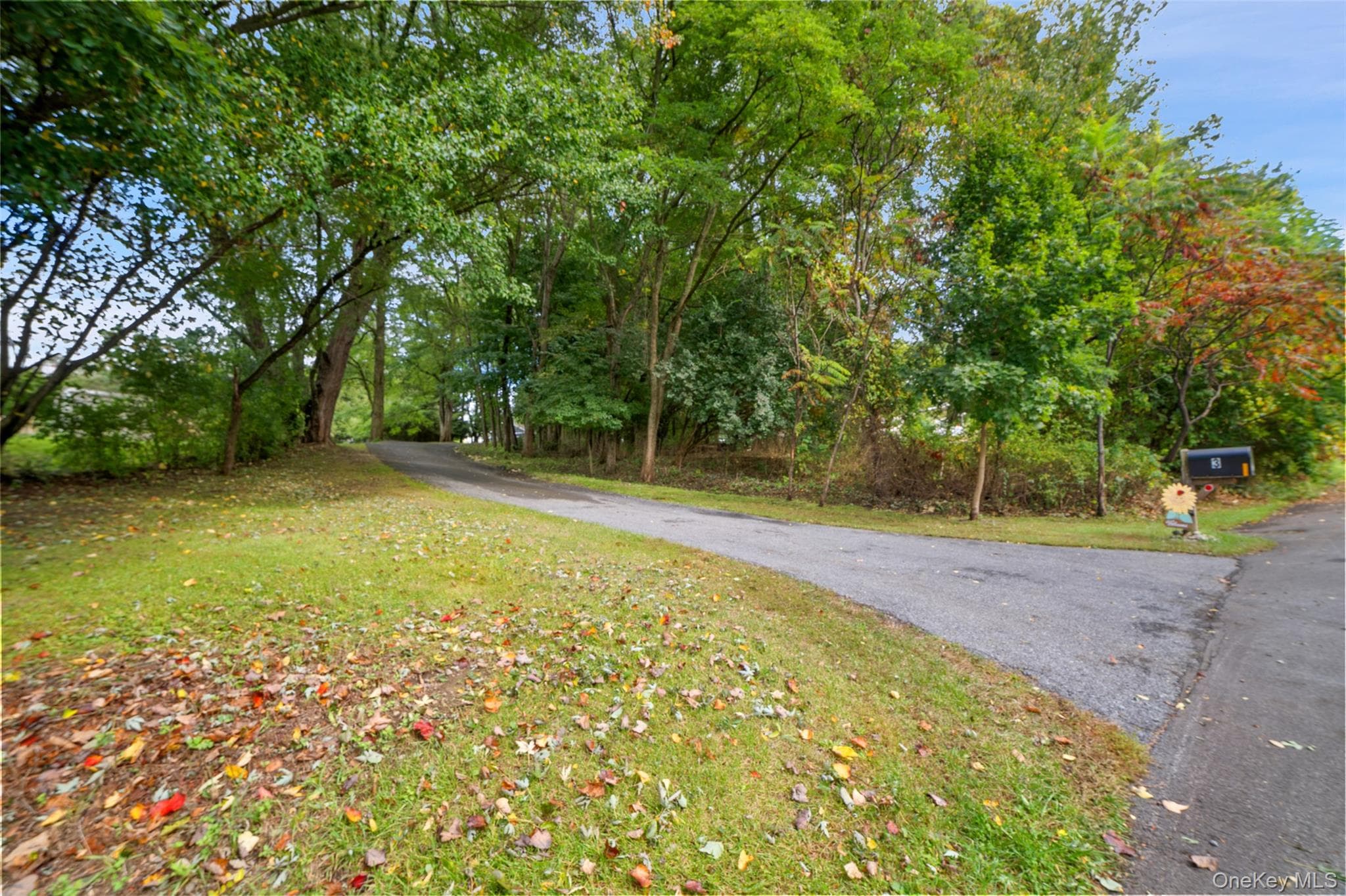 3 Flood Drive thumbnail 46