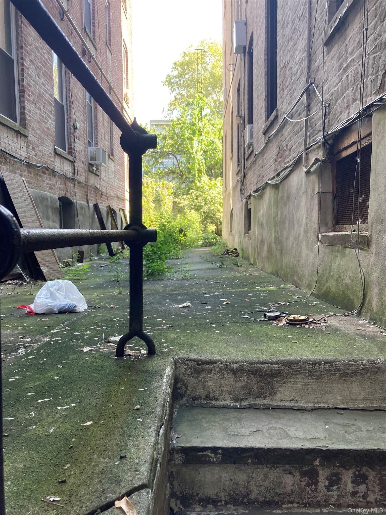 7221 67th Street thumbnail 11