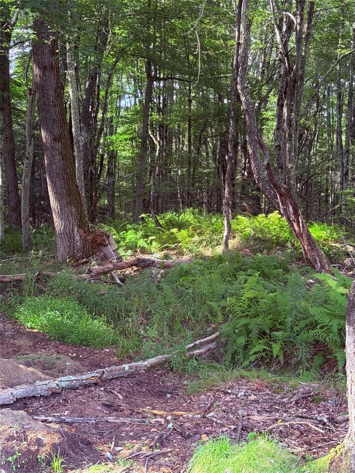 412 Brown Road thumbnail 23