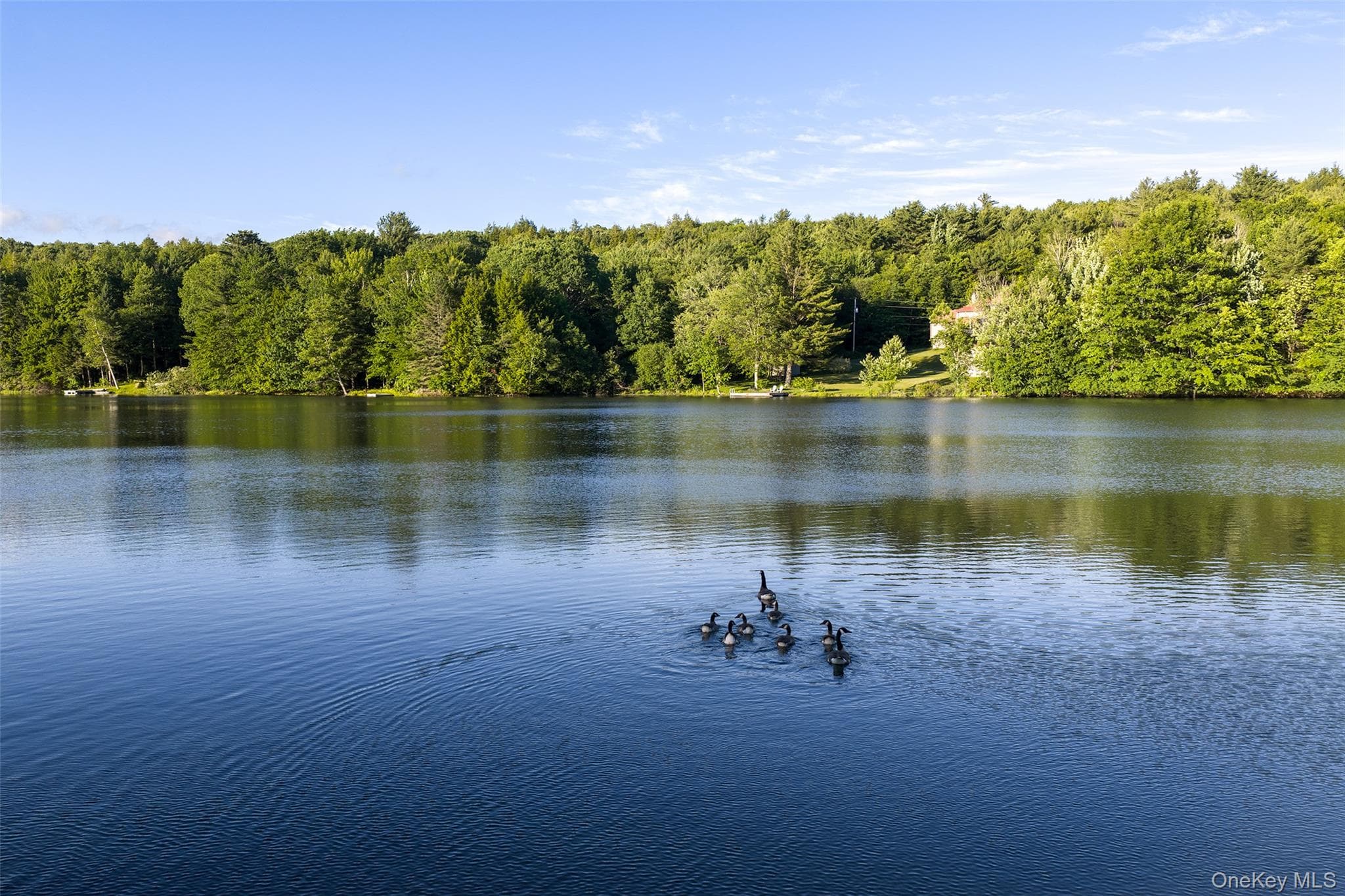 135 Sparrowhawk Lake Road thumbnail 50