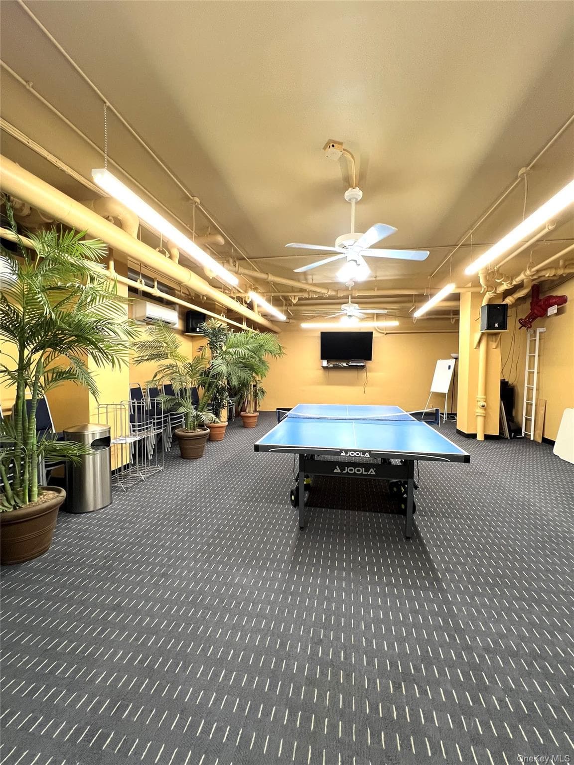 220-55 46 Avenue Unit: 5R thumbnail 16