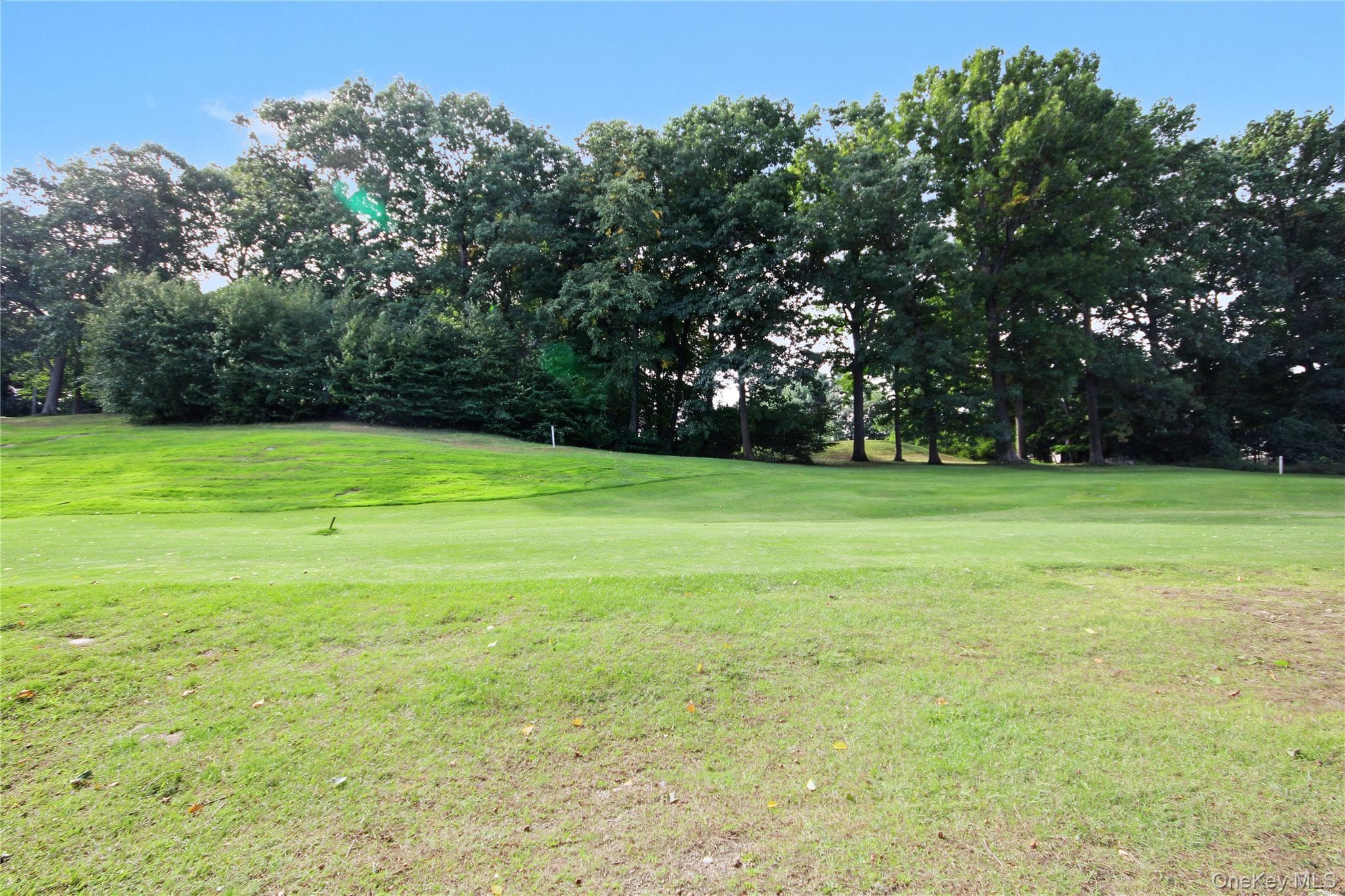 812 Heritage Hills HLS Unit: A thumbnail 38