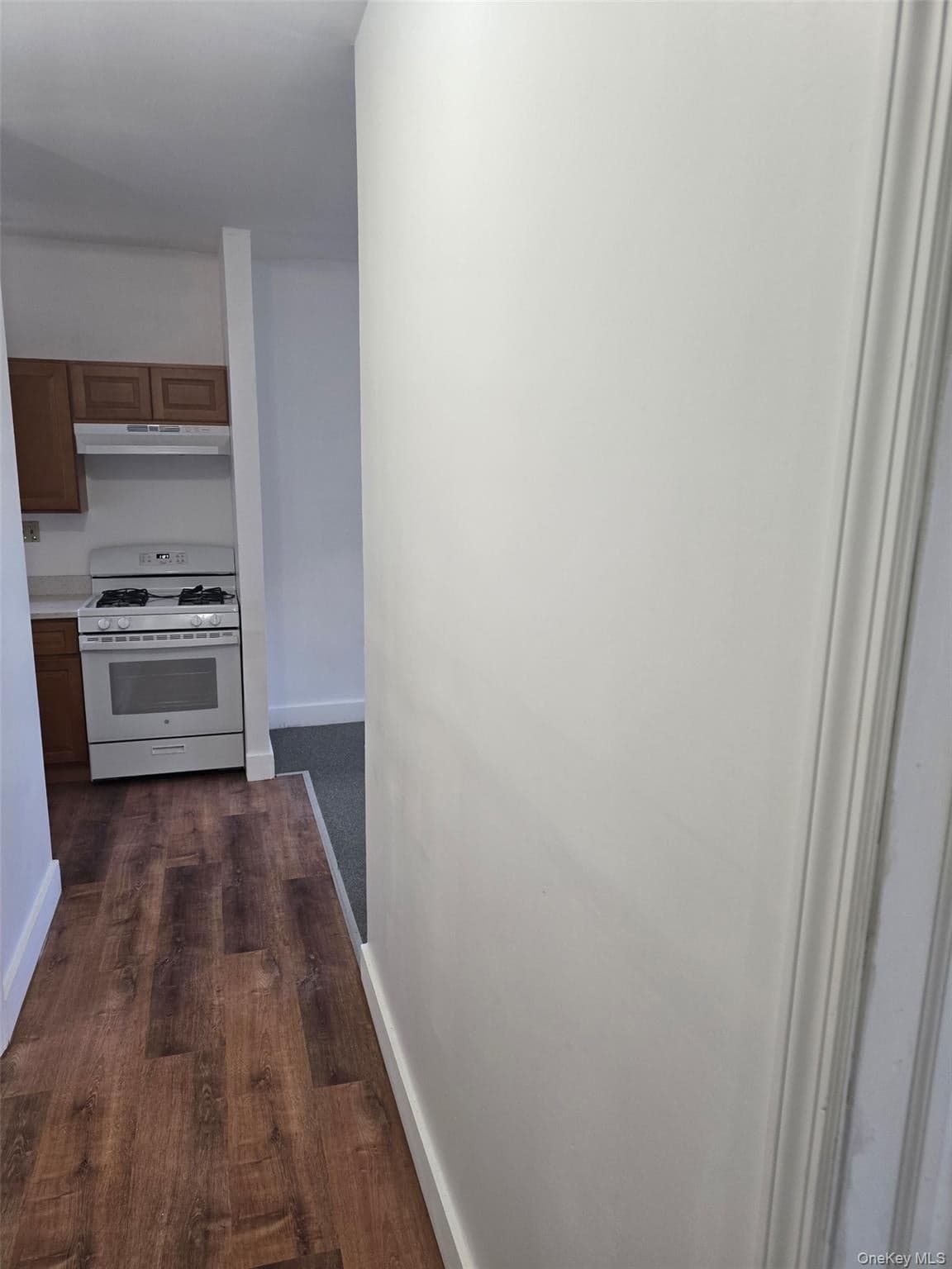 847 Utica Avenue thumbnail 6
