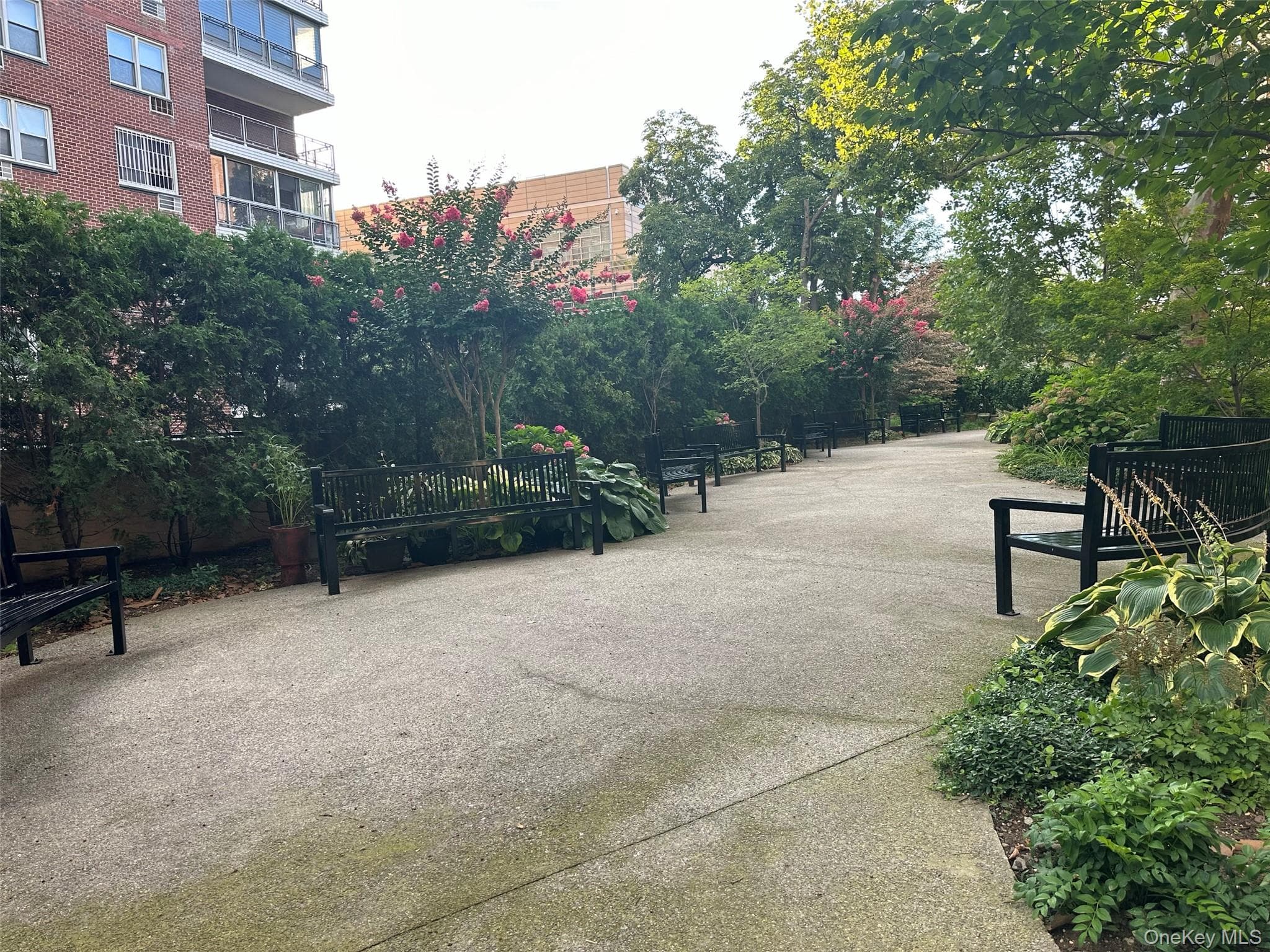 8710 51st Avenue Unit: 3H thumbnail 7