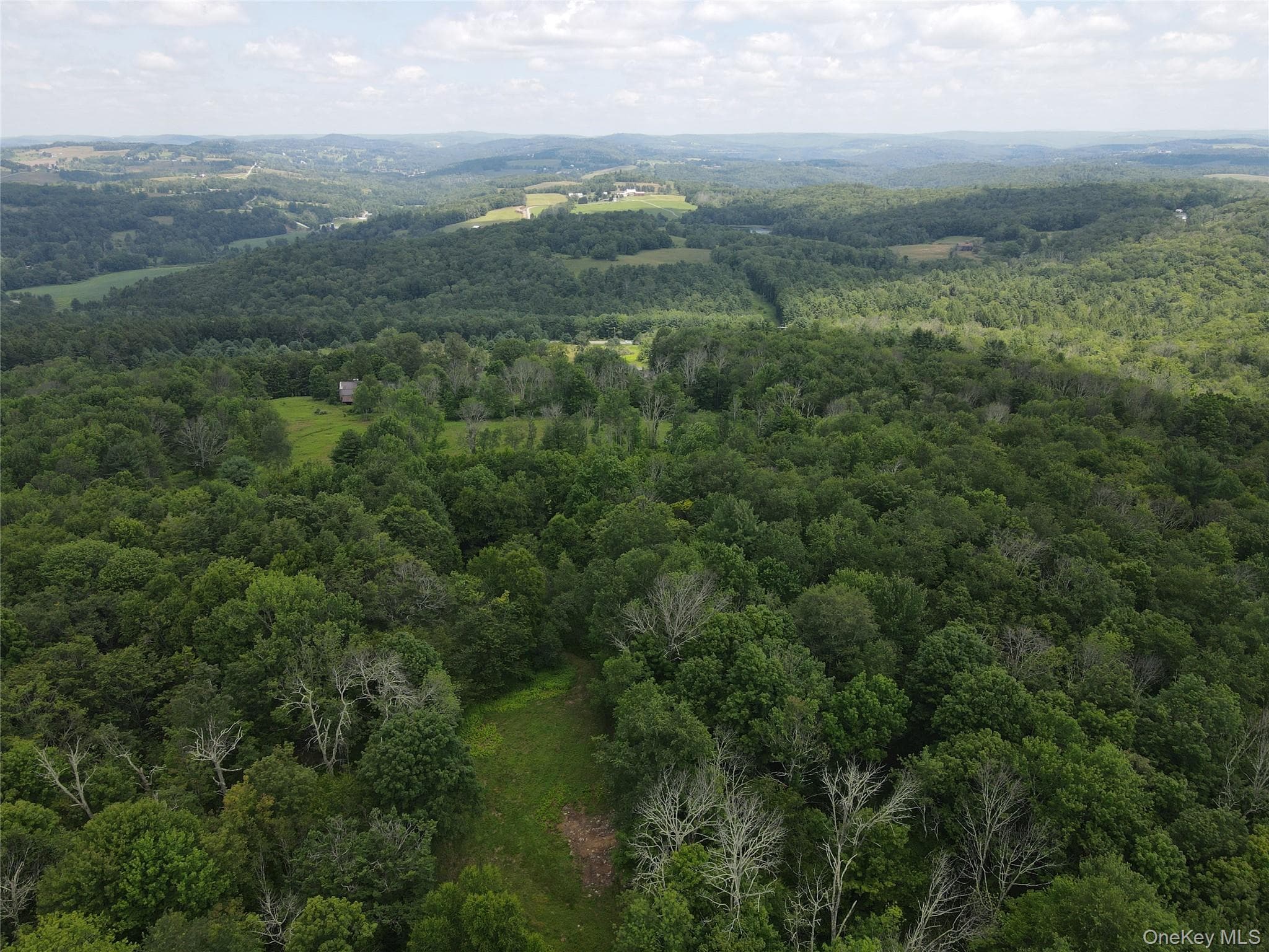 1103 County Road 114 thumbnail 27