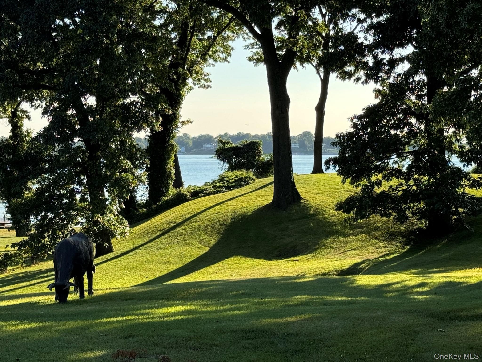 45 Cedar Lane thumbnail 19