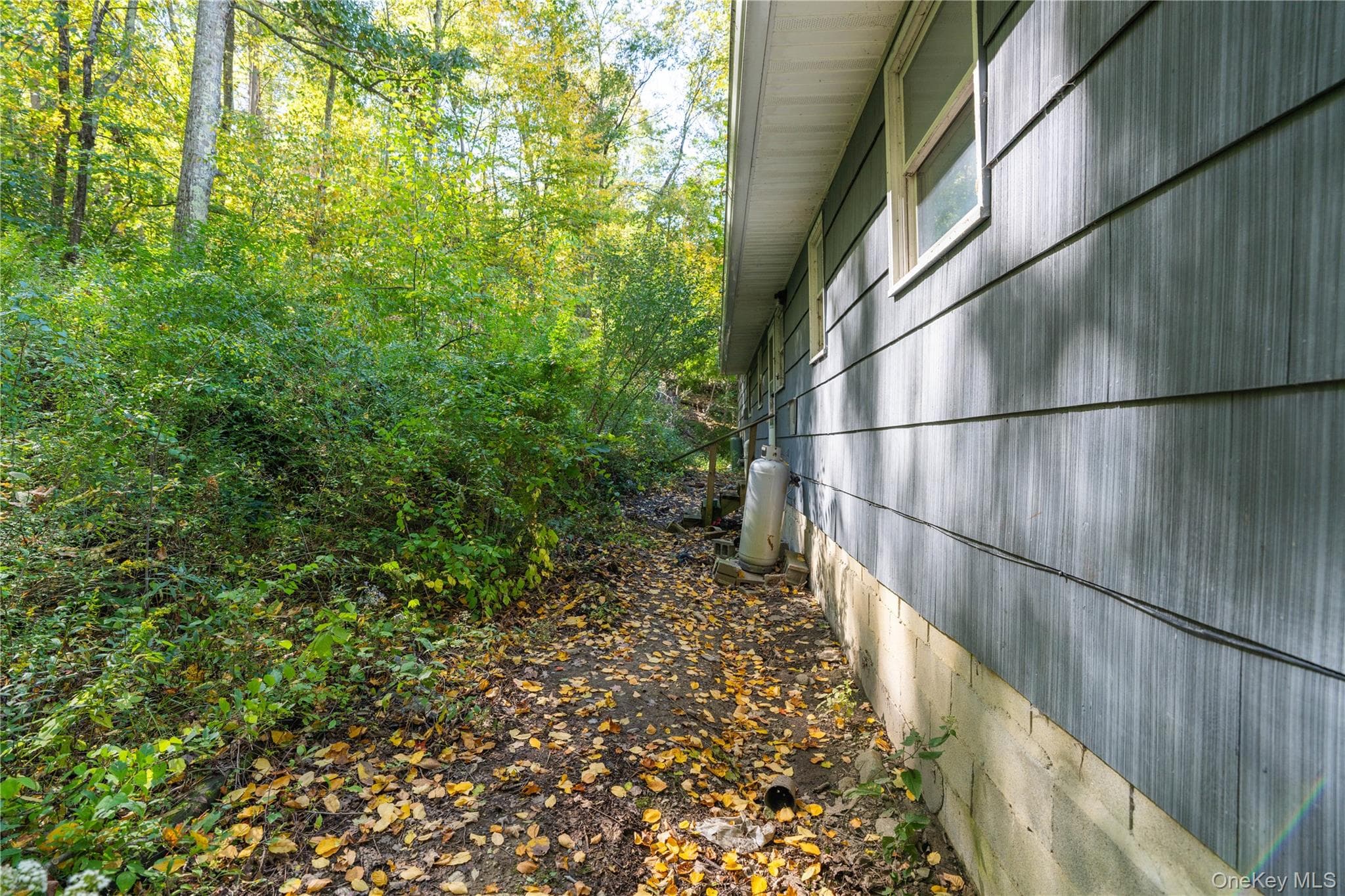 11 Stanley Drive thumbnail 37