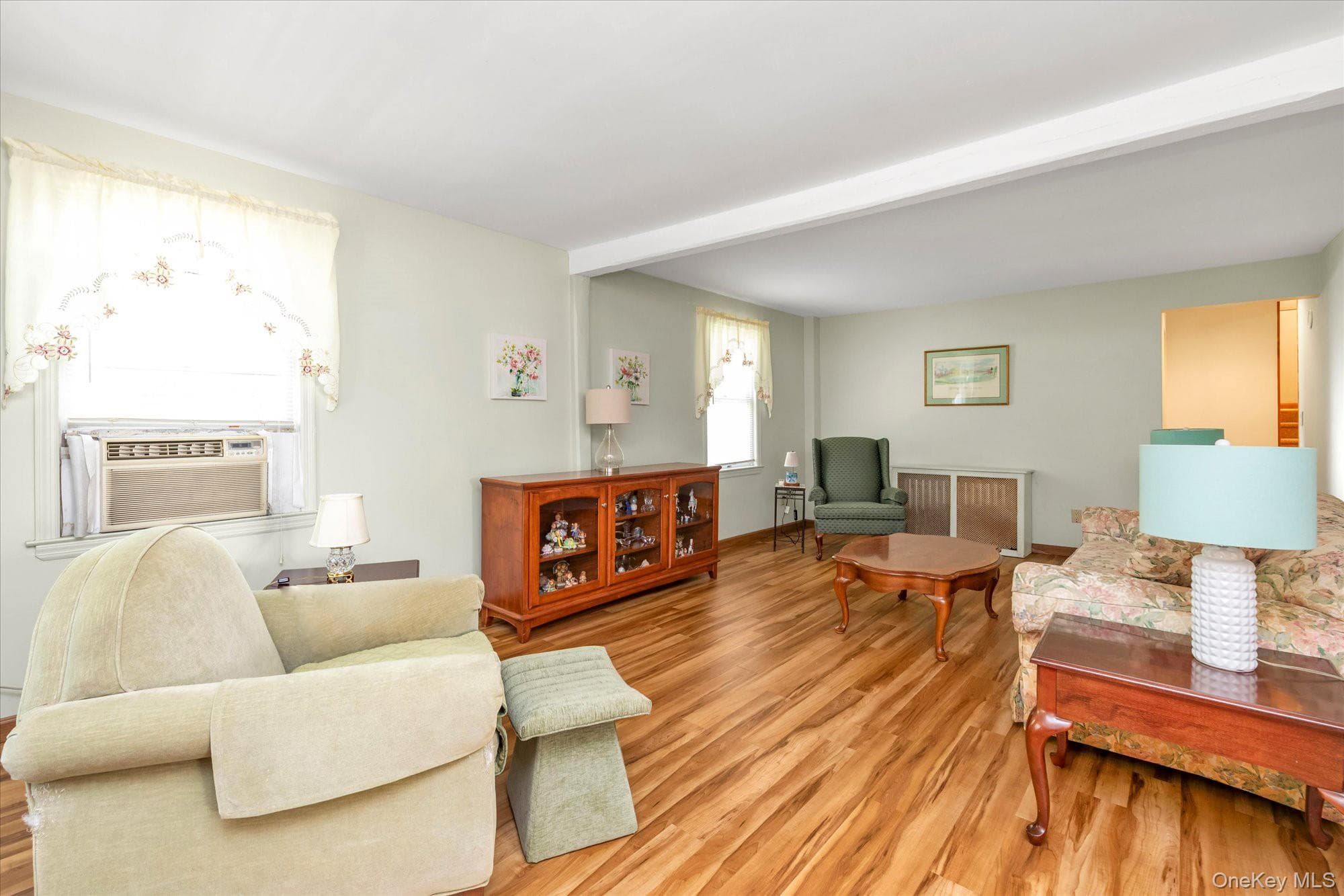 265 Schenck Avenue thumbnail 4