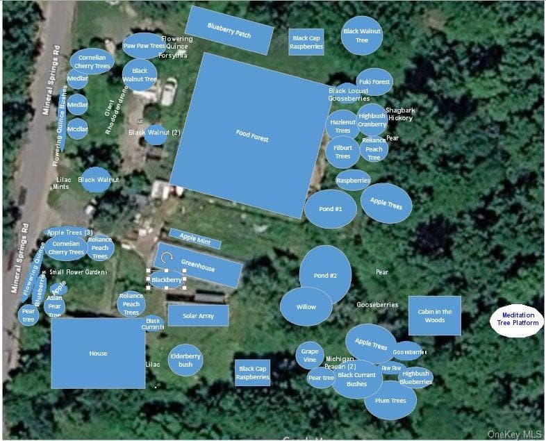 64 & 68 Mineral Springs Road thumbnail 39