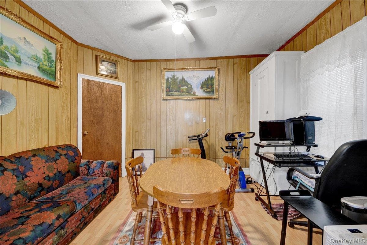 681 E 243rd Street thumbnail 4