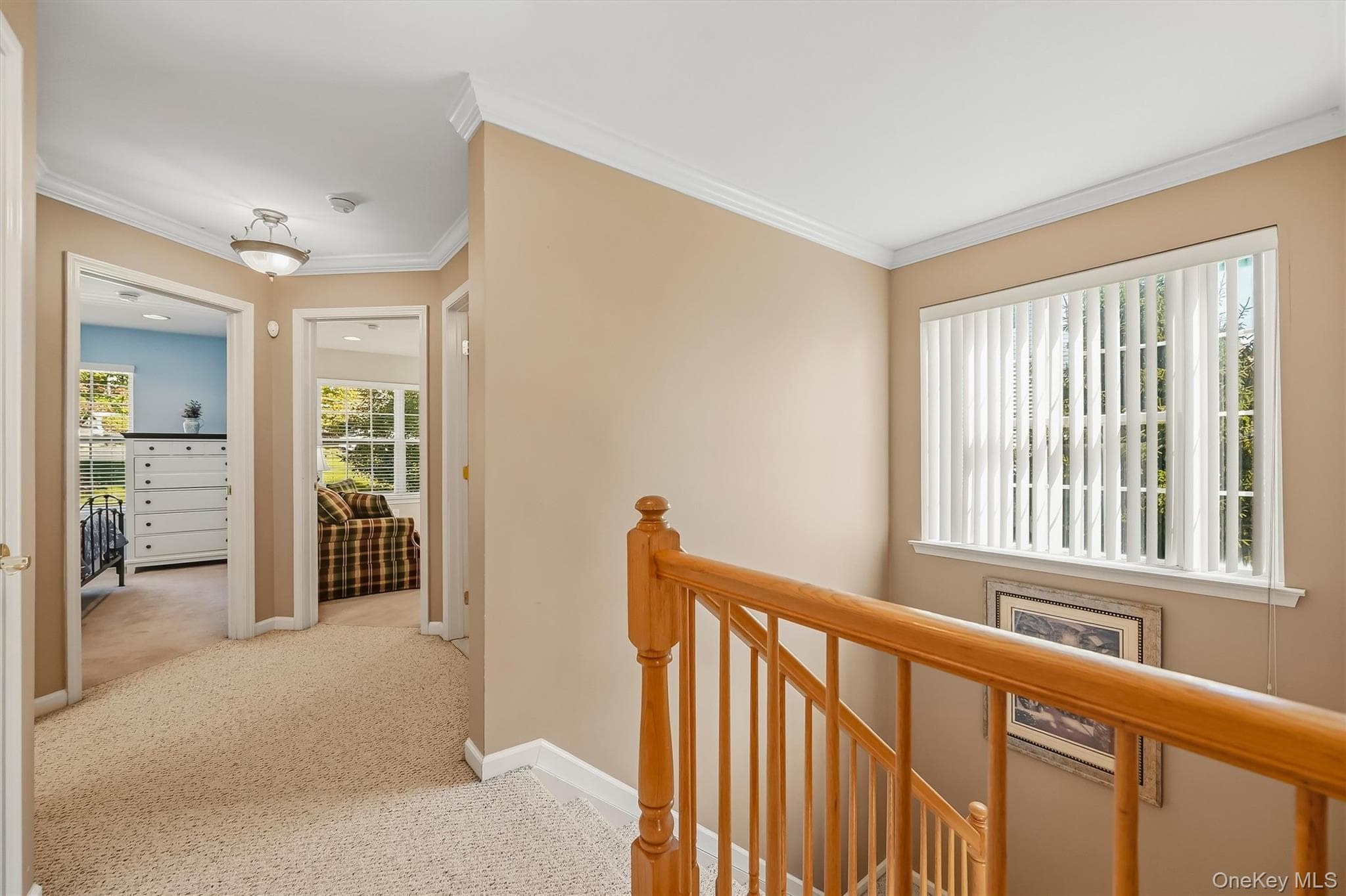 105 Barr Lane thumbnail 29