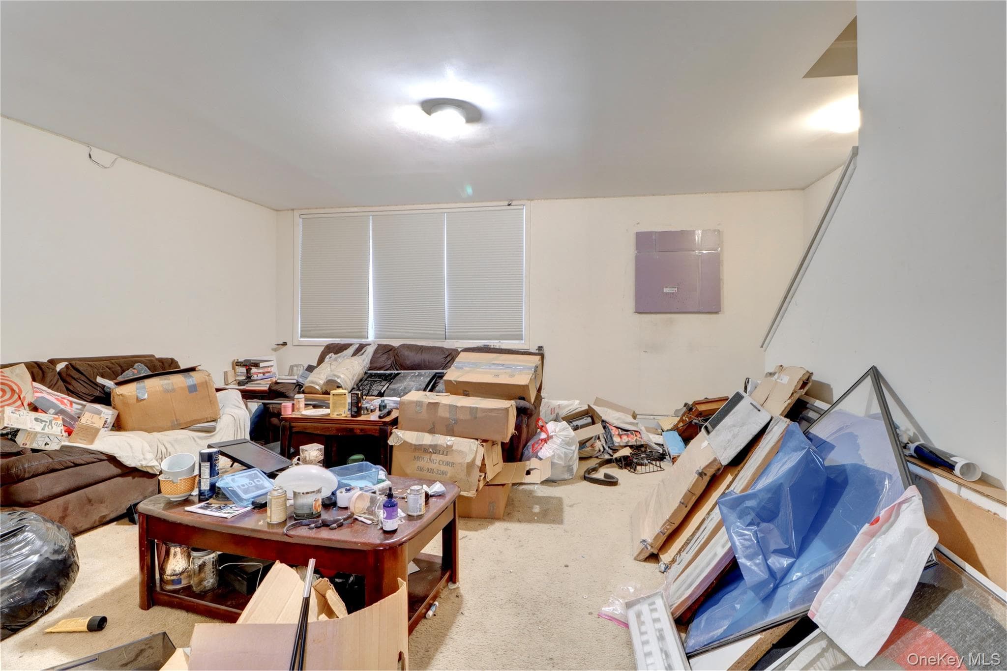 639 Vandalia Avenue thumbnail 8