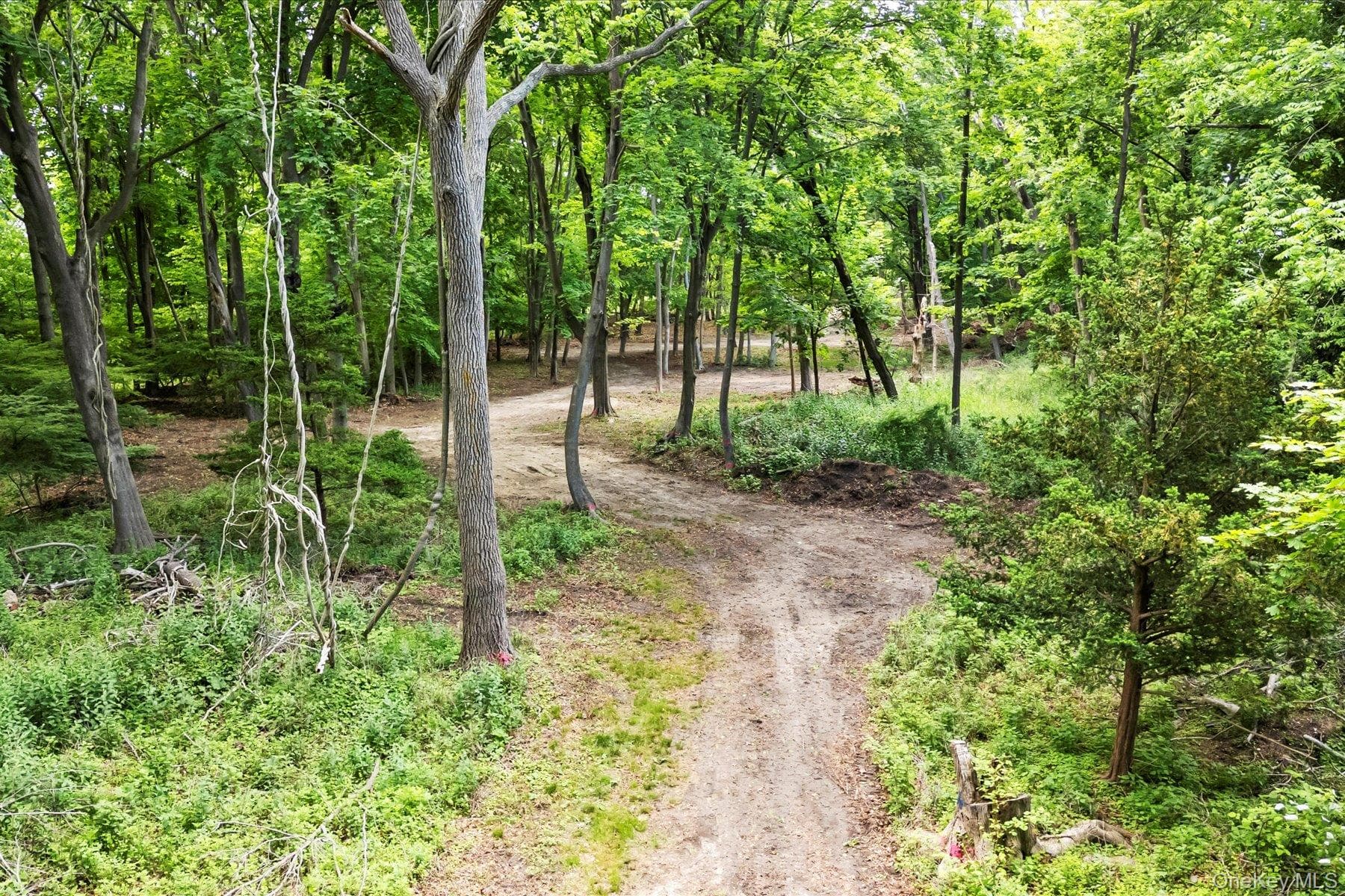 198 South Country Road thumbnail 16