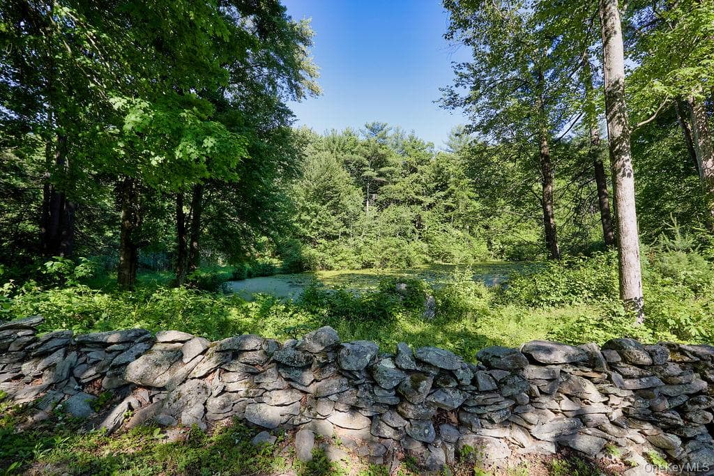 10 Stoutenburgh Drive thumbnail 41