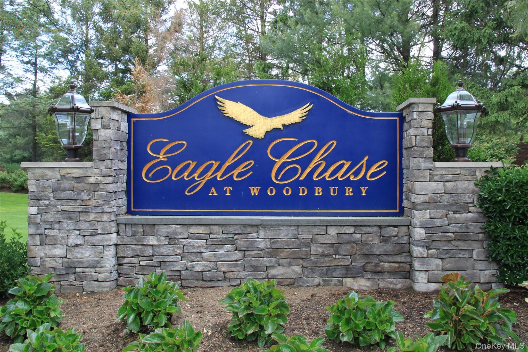 93 Eagle Chase thumbnail 35