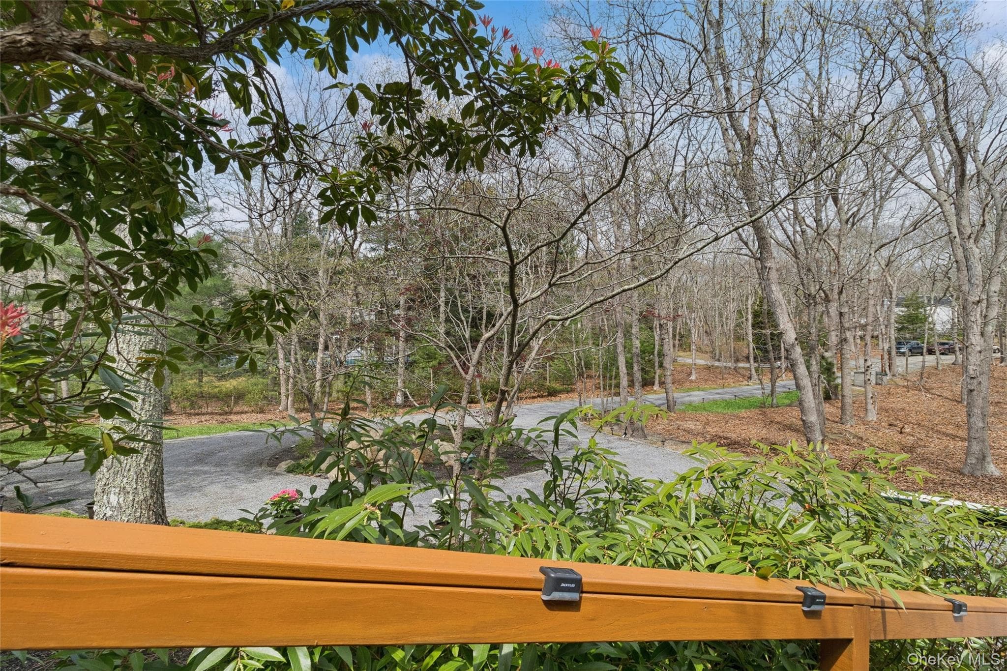 27 Ely Brook Road thumbnail 41