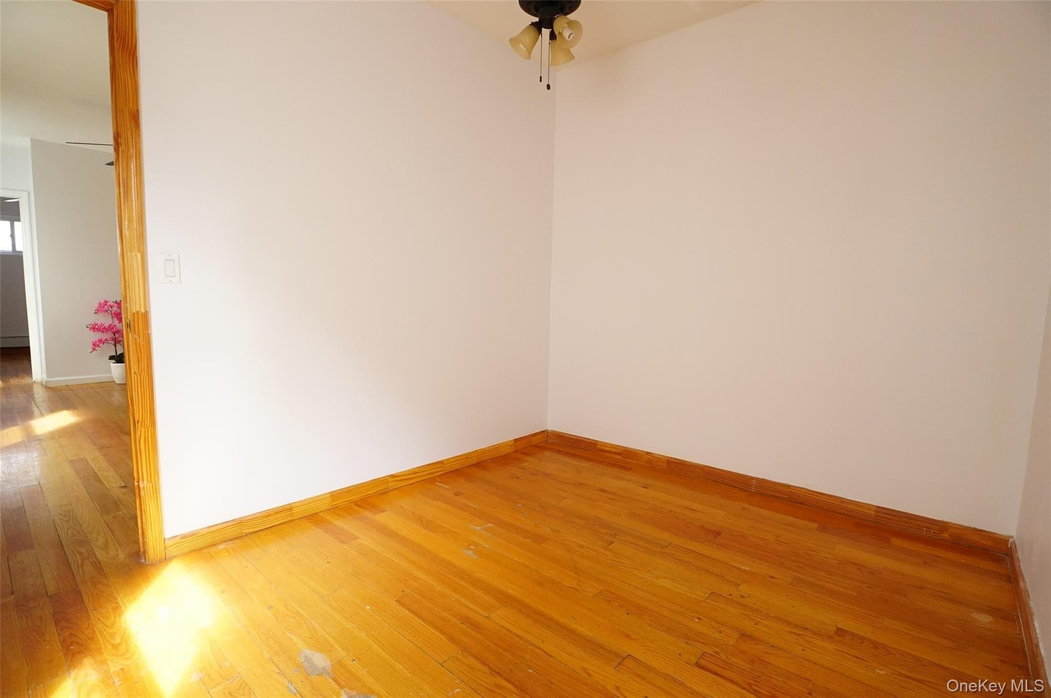 43-58 163rd Street thumbnail 9