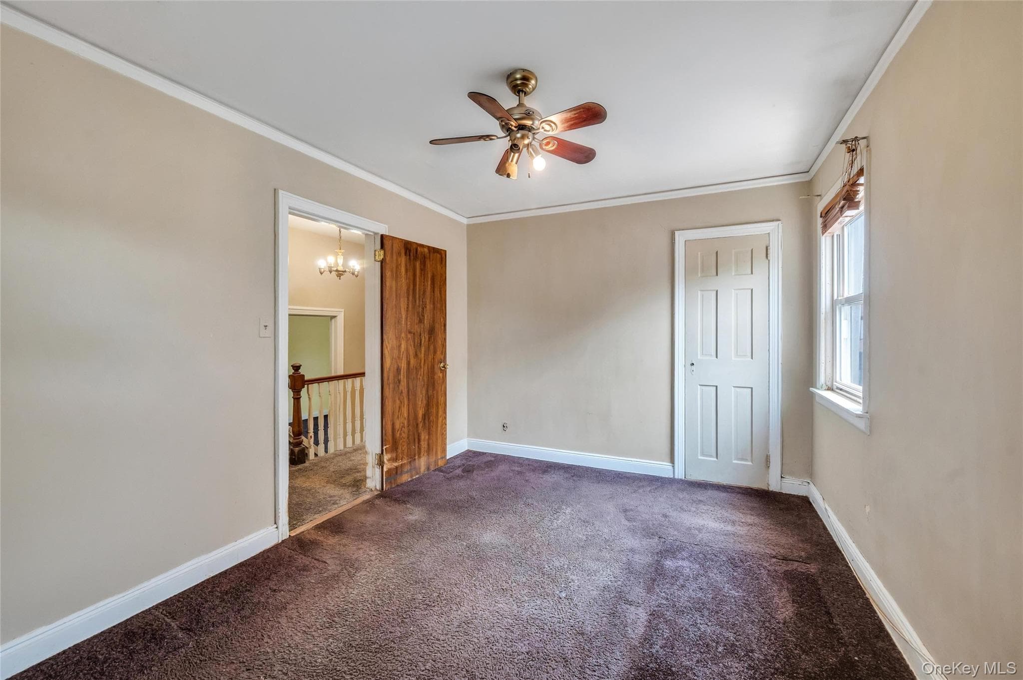 78-28 222nd Street thumbnail 19