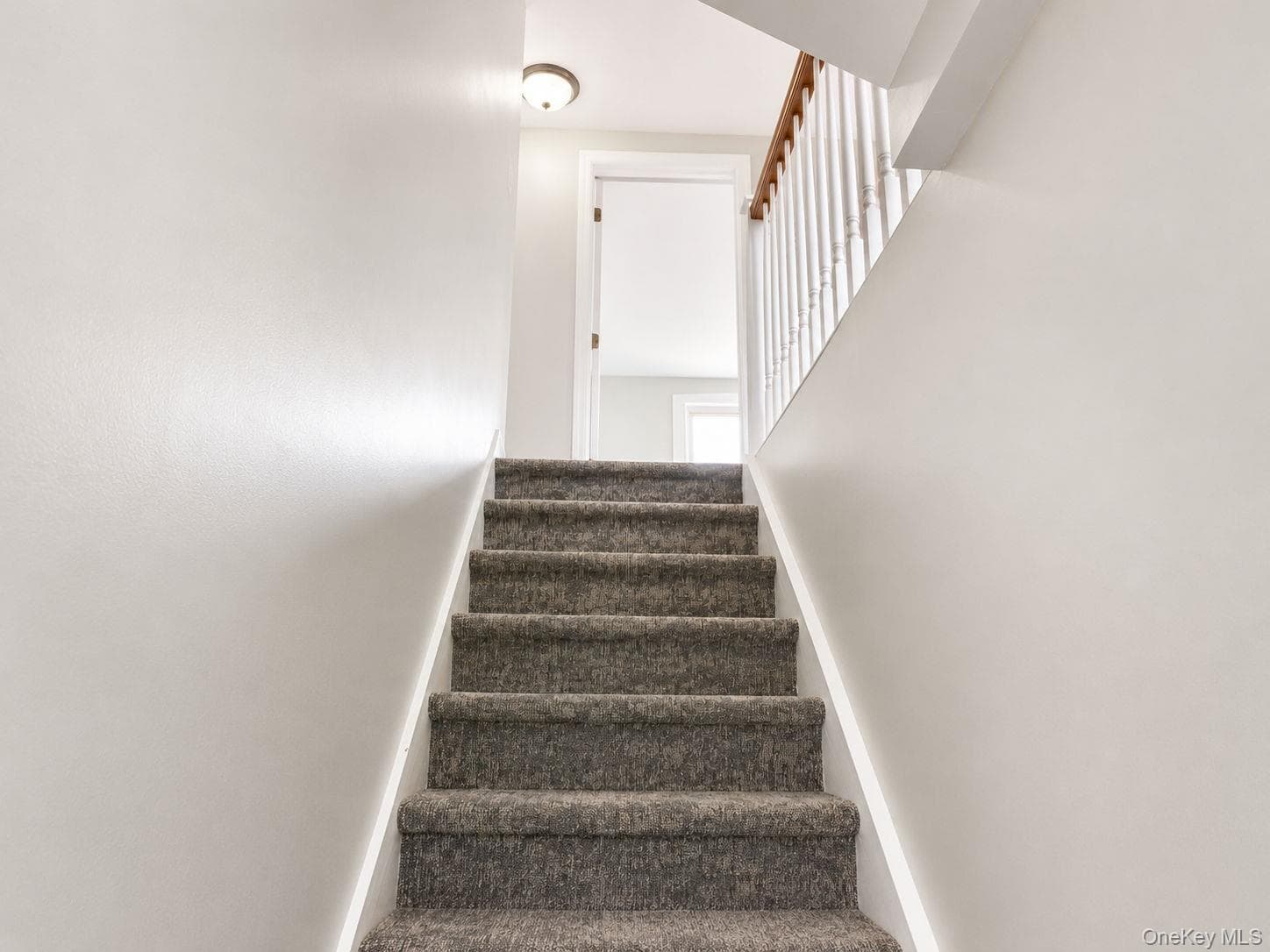 199 Terrell Avenue thumbnail 14