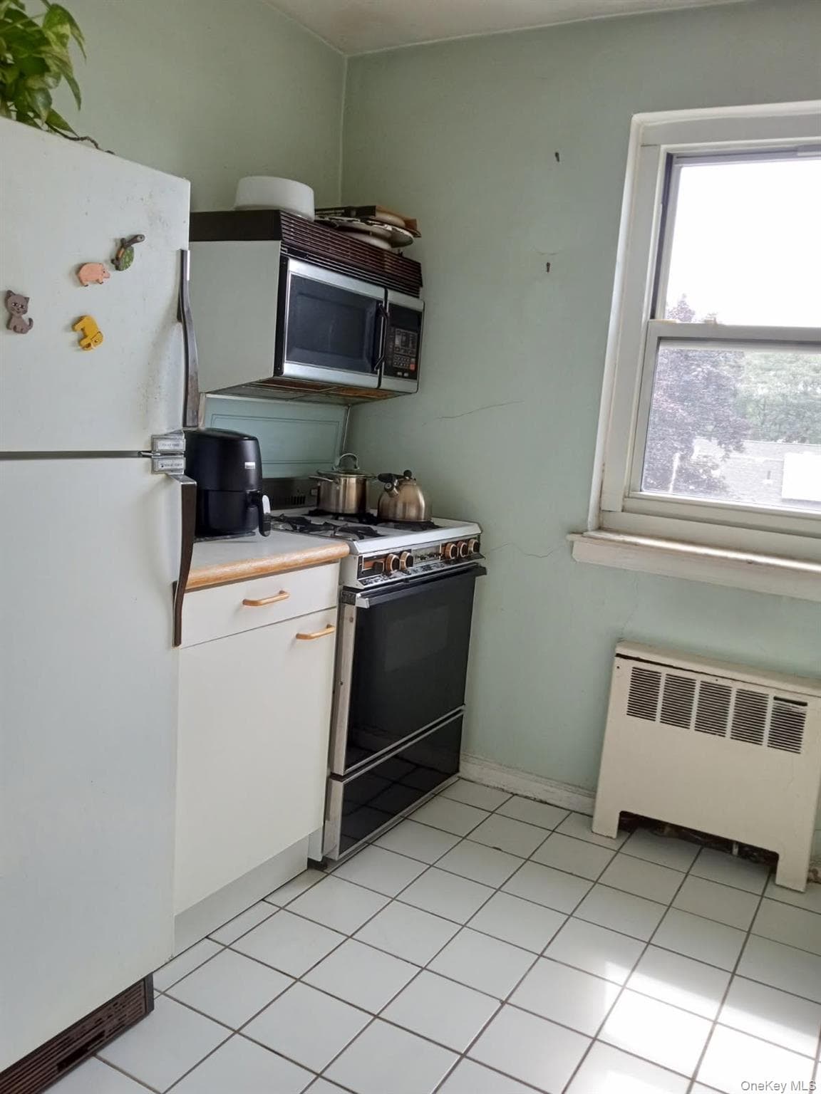 69-38 Kissena Blvd Kissena Blvd Blvd Unit: 135B thumbnail 4