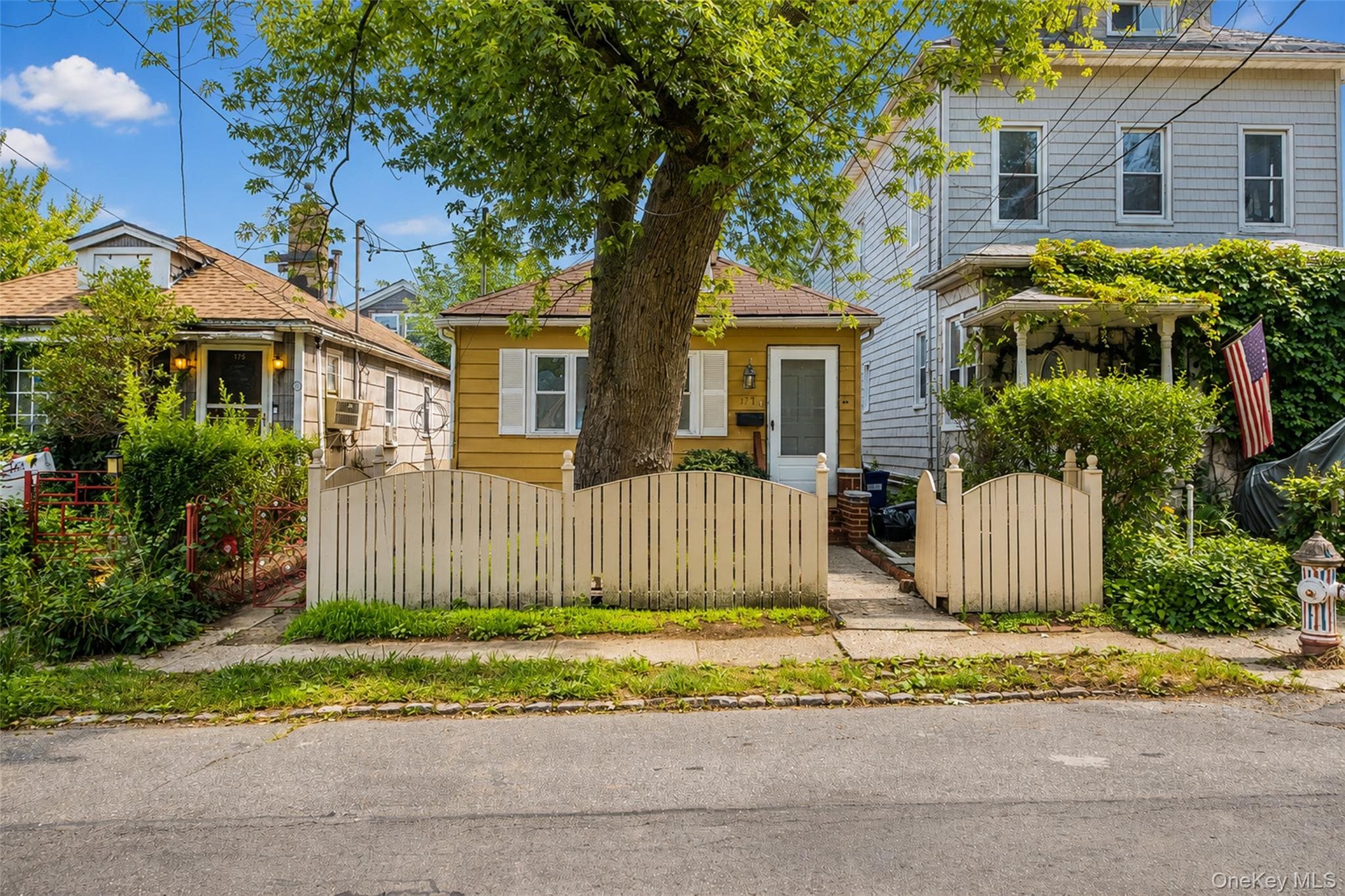 177 Terrace Street thumbnail 17