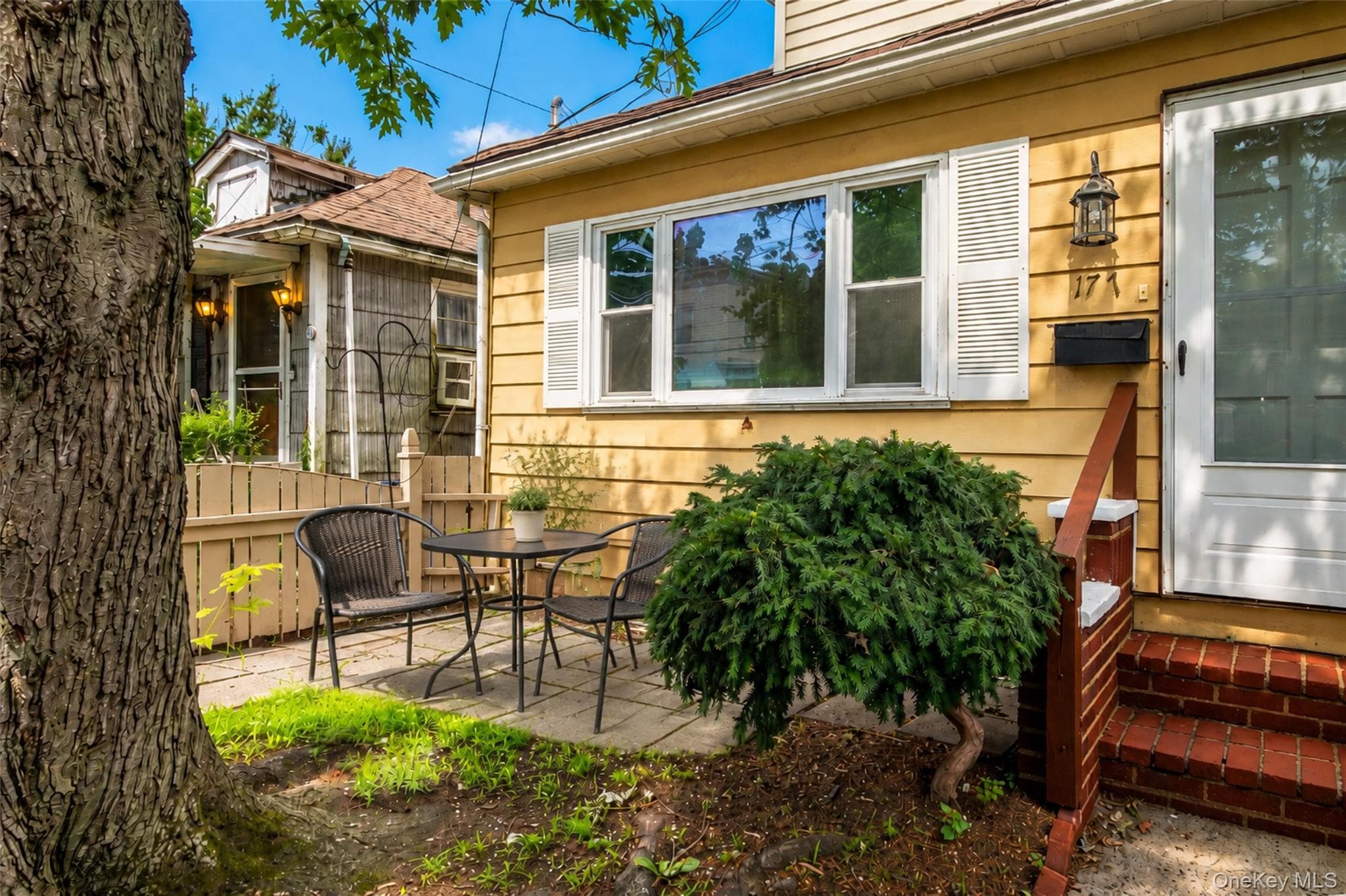 177 Terrace Street thumbnail 18