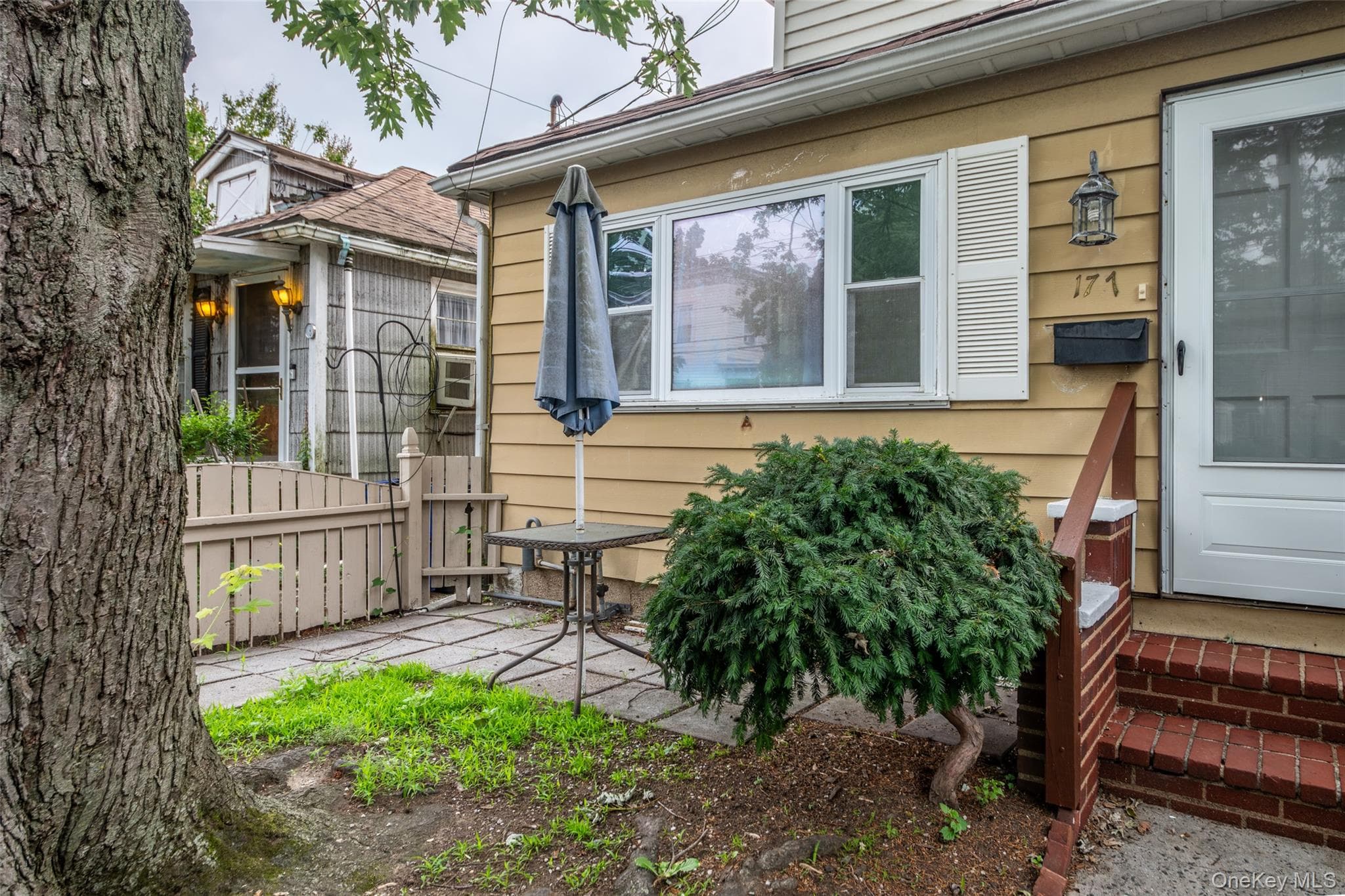 177 Terrace Street thumbnail 31