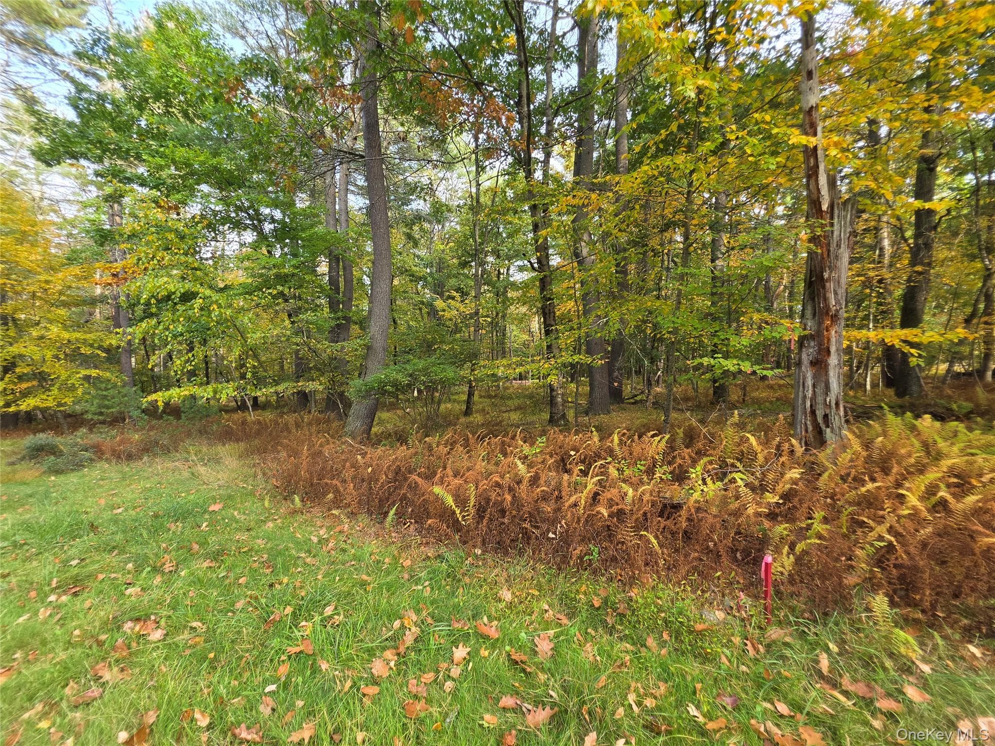 TBD Evergreen Lane thumbnail 40