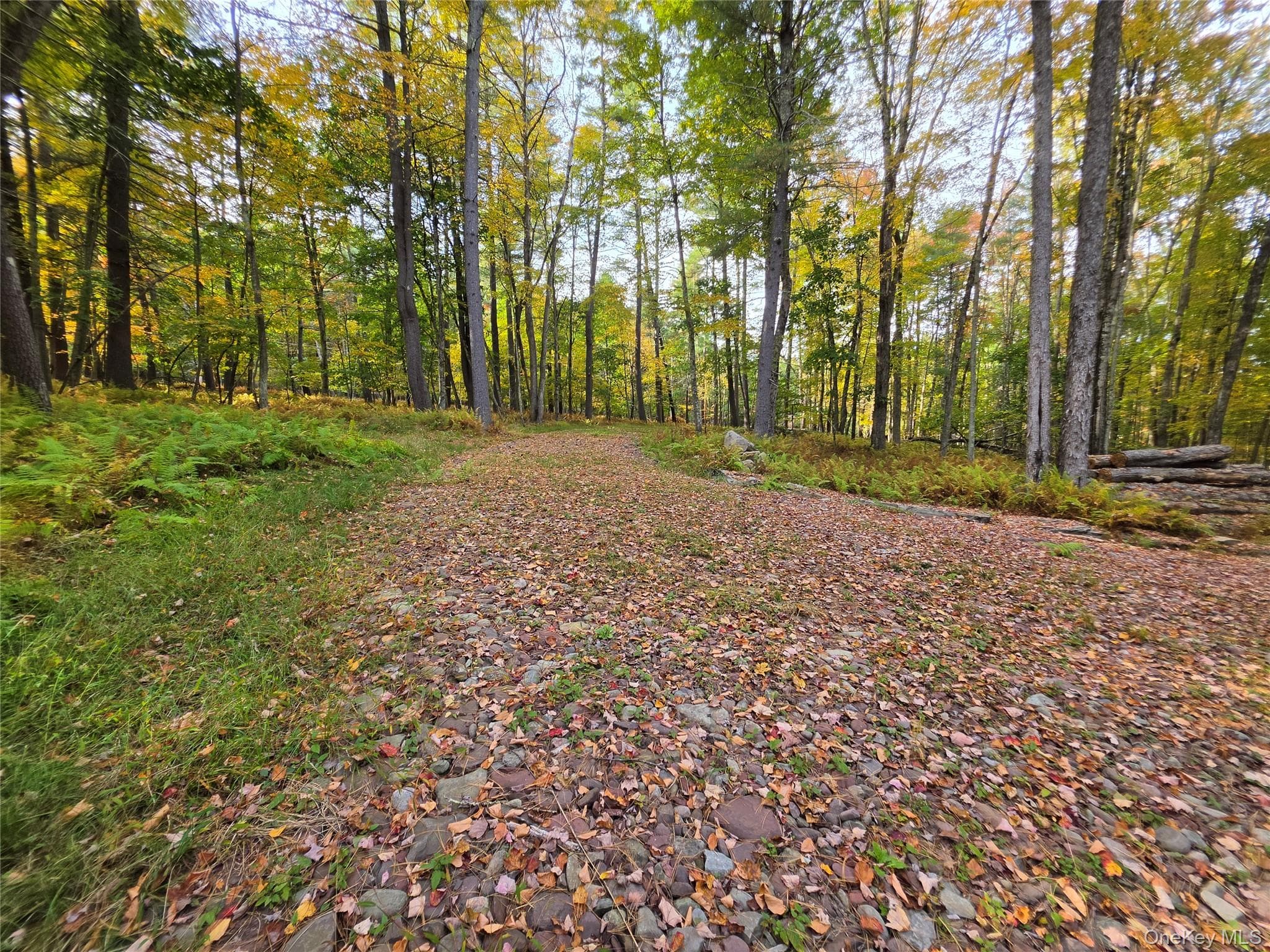 TBD Evergreen Lane thumbnail 8