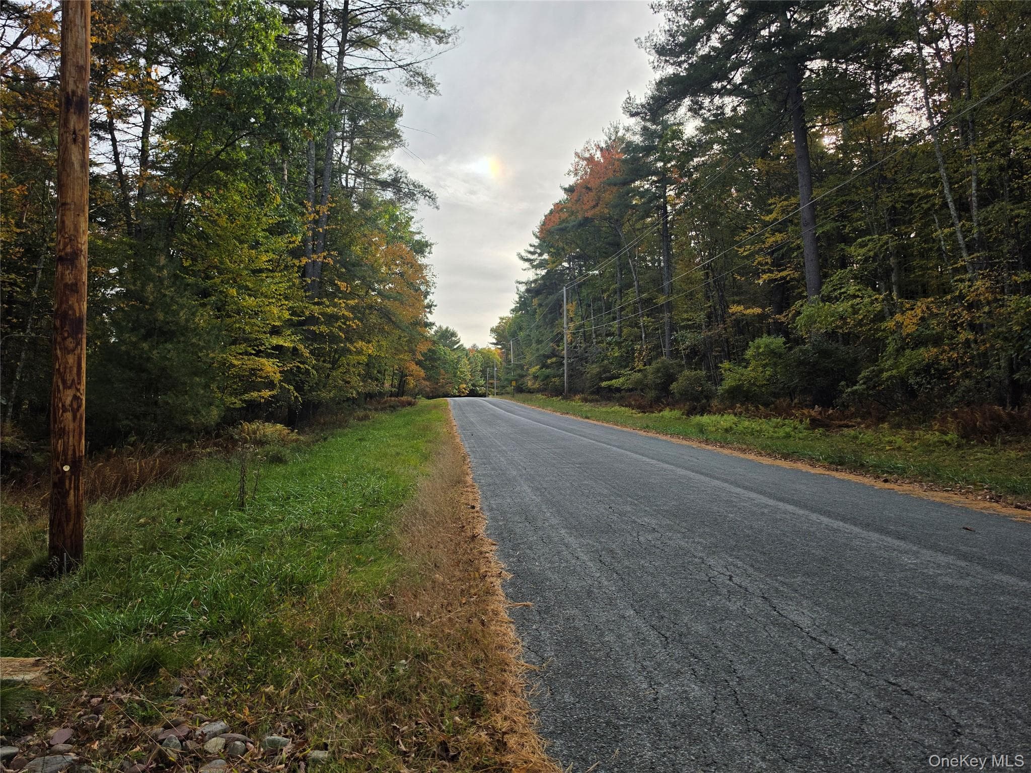 TBD Evergreen Lane thumbnail 44