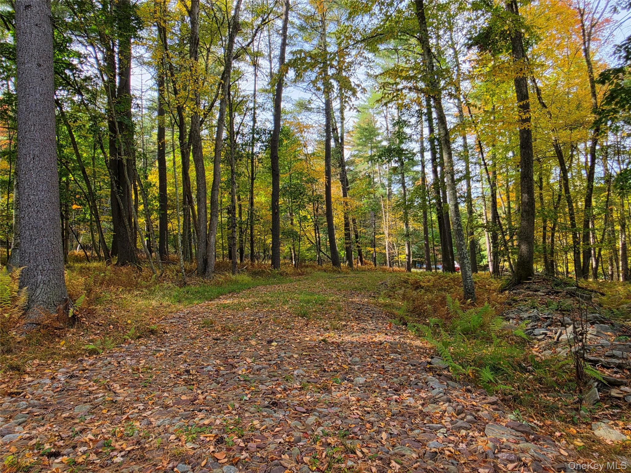 TBD Evergreen Lane thumbnail 41